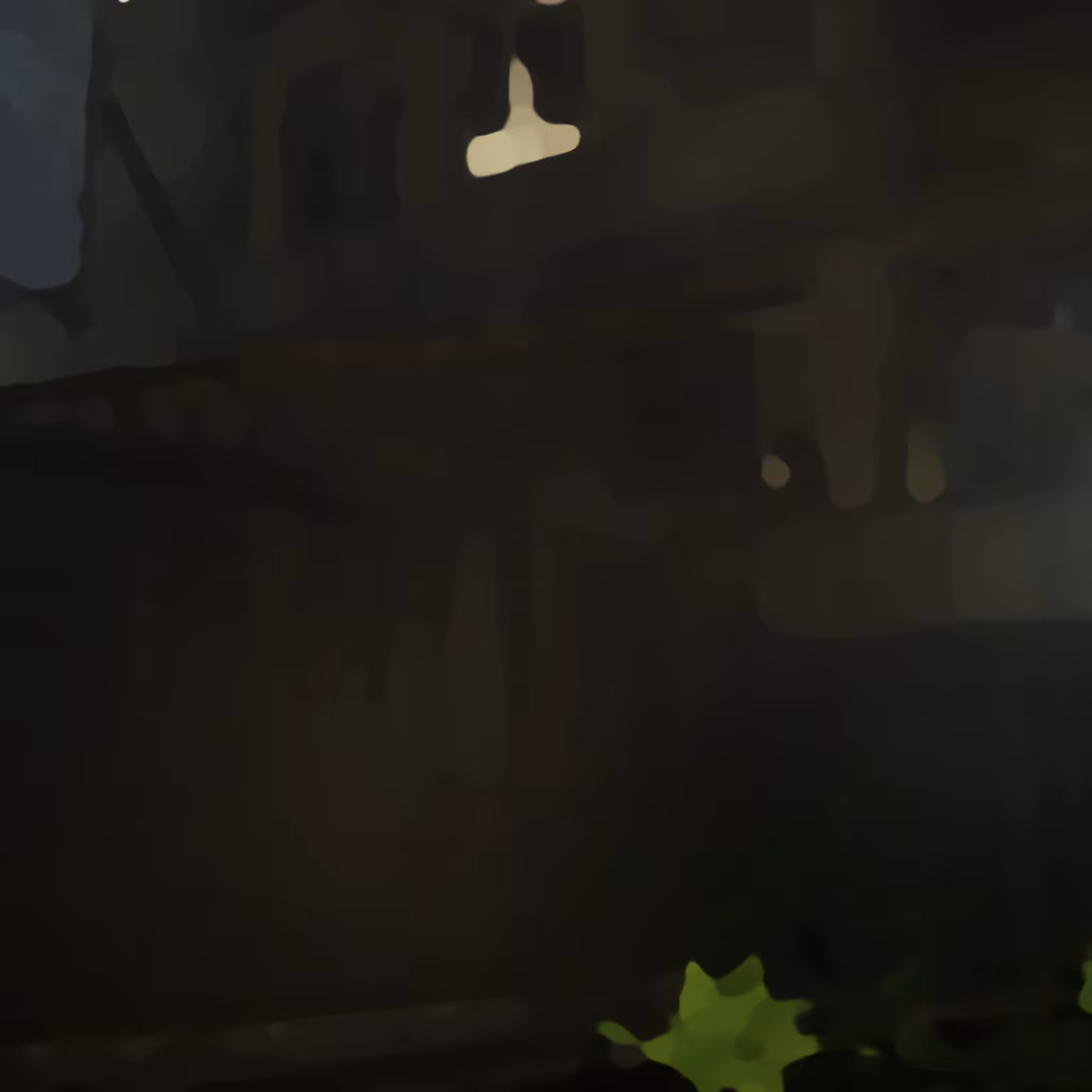 casa?