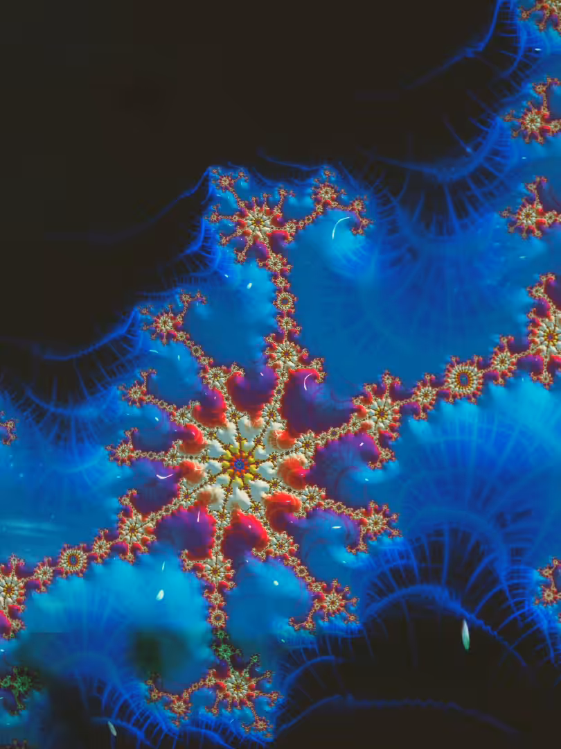 Flora