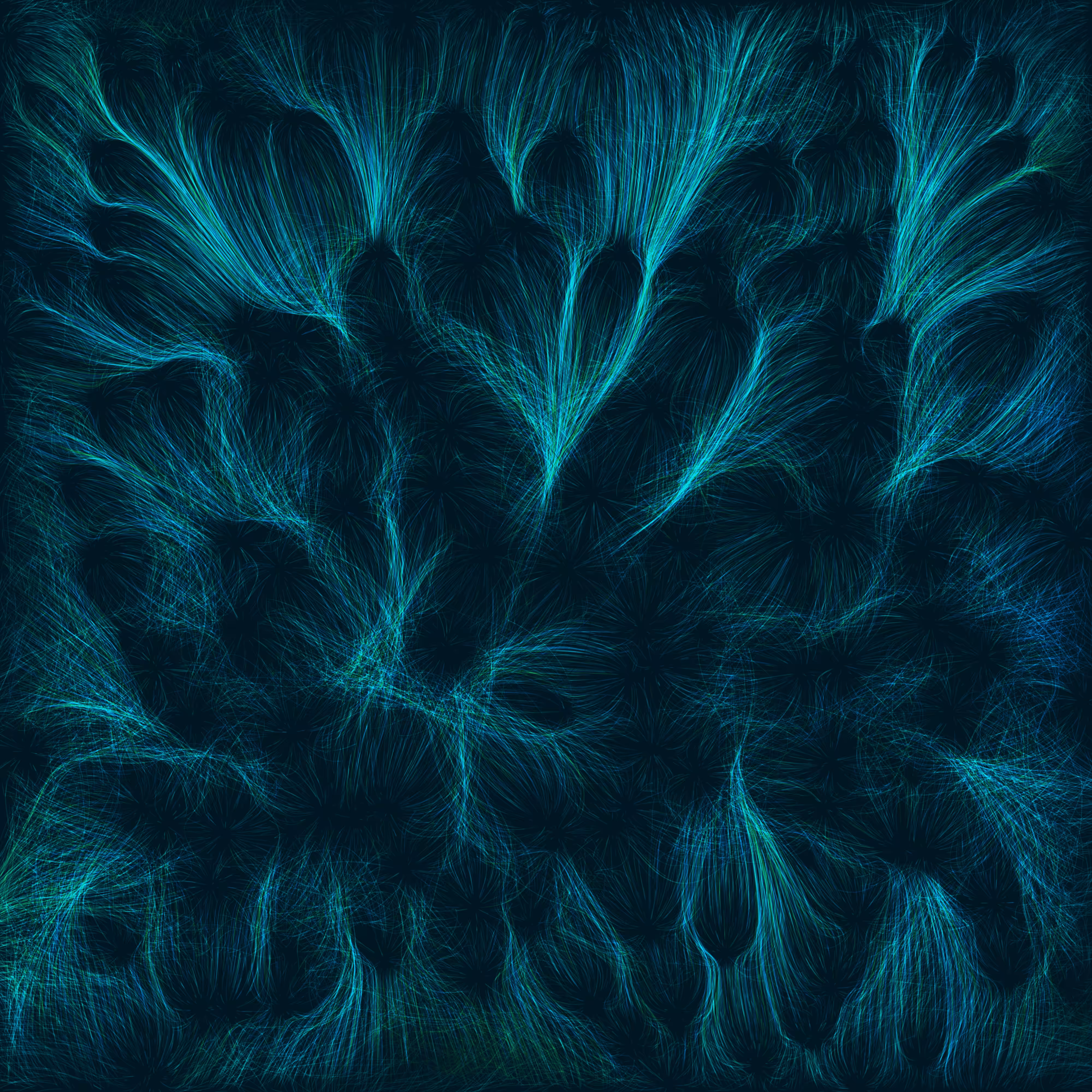 Forgotten Forest #1