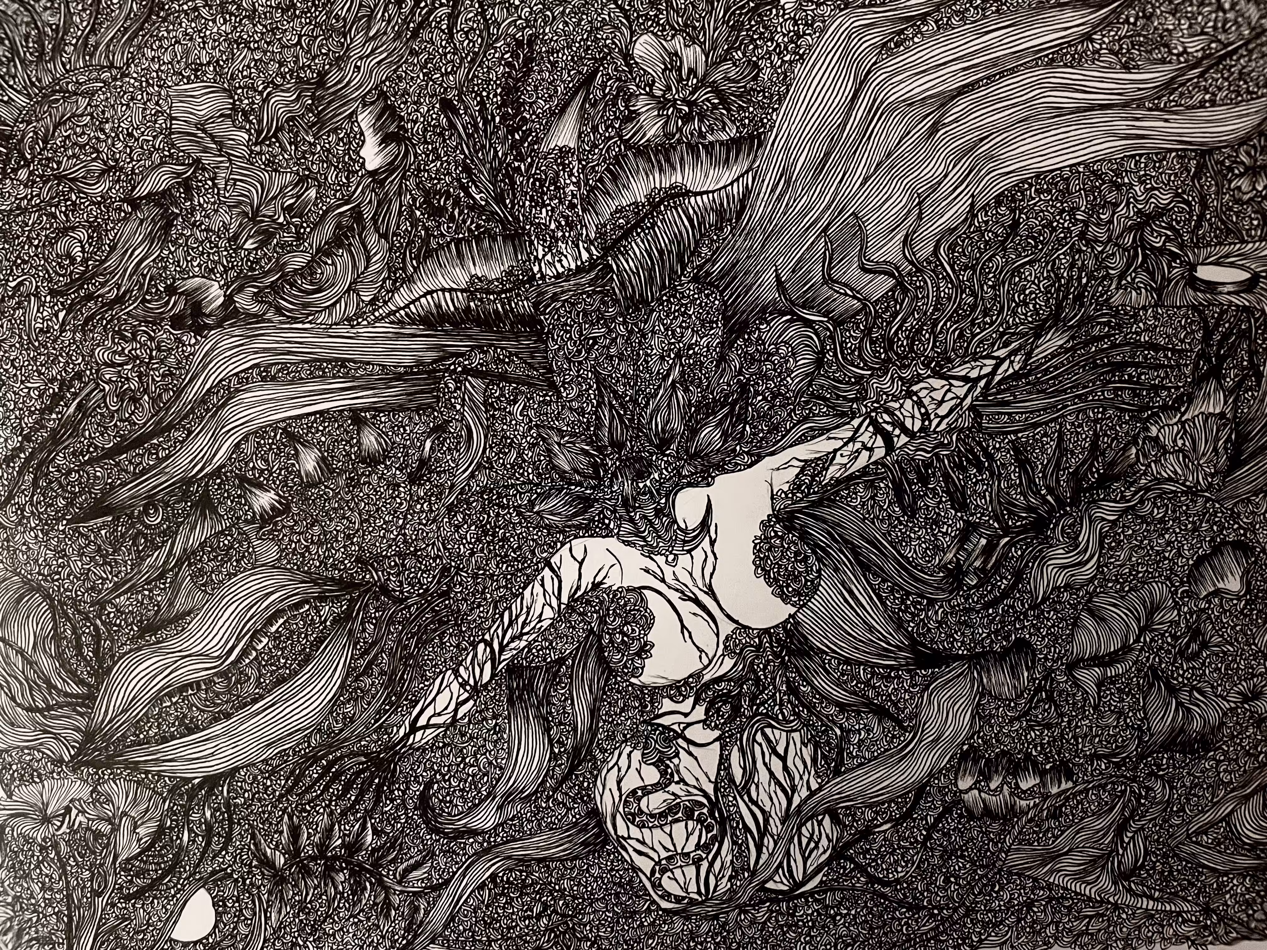 Ivy