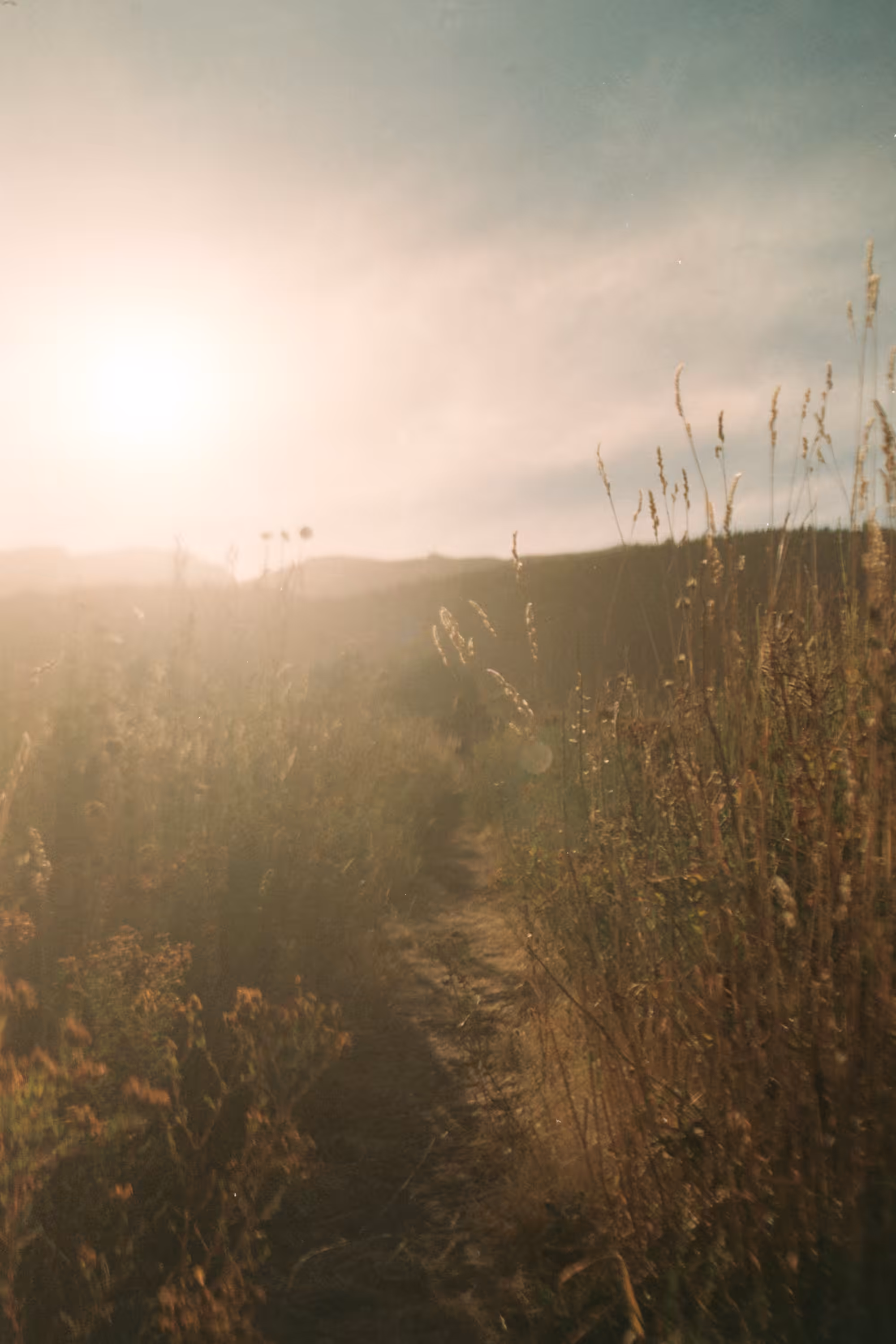 Paths