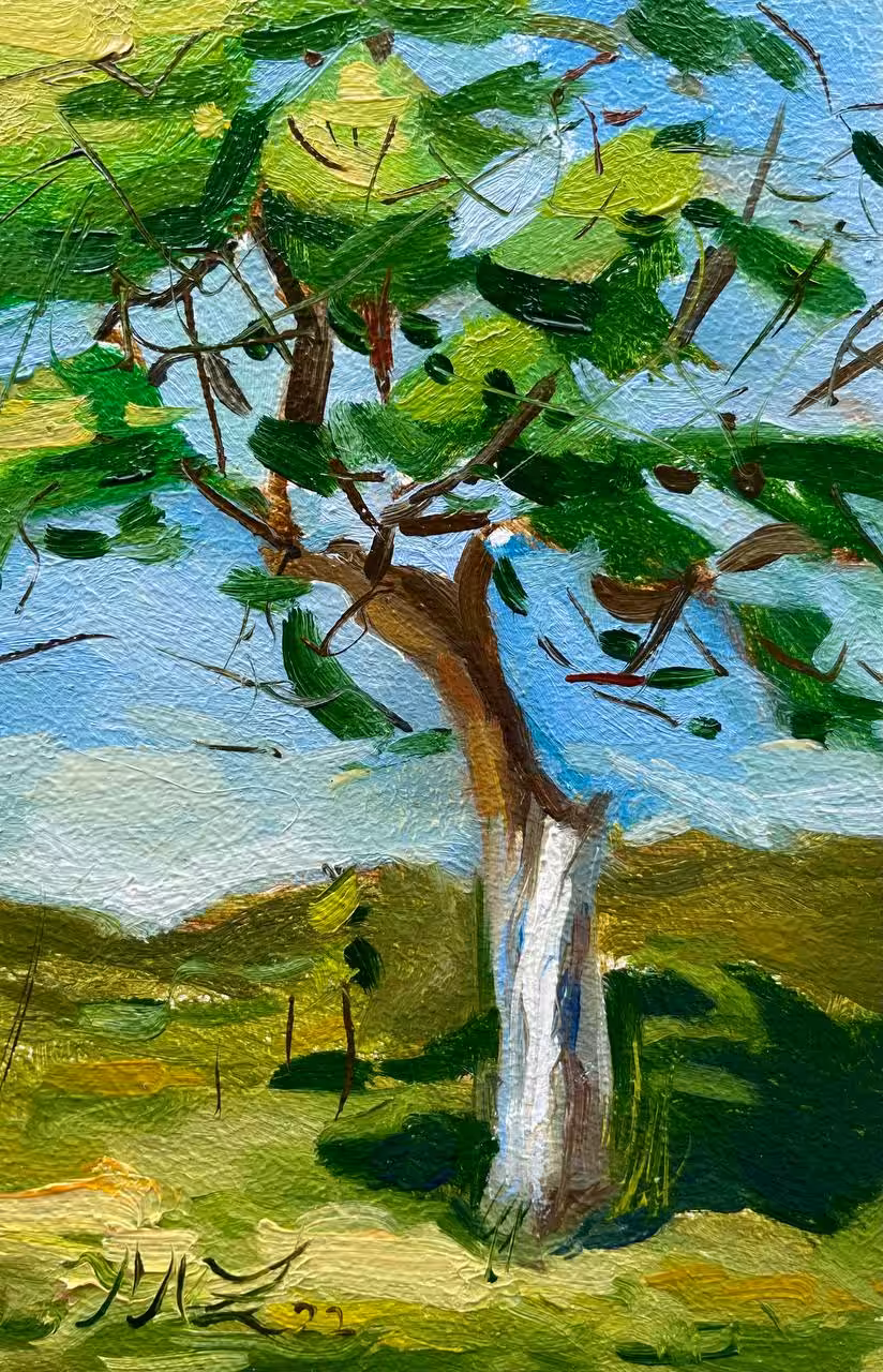 Old apple tree