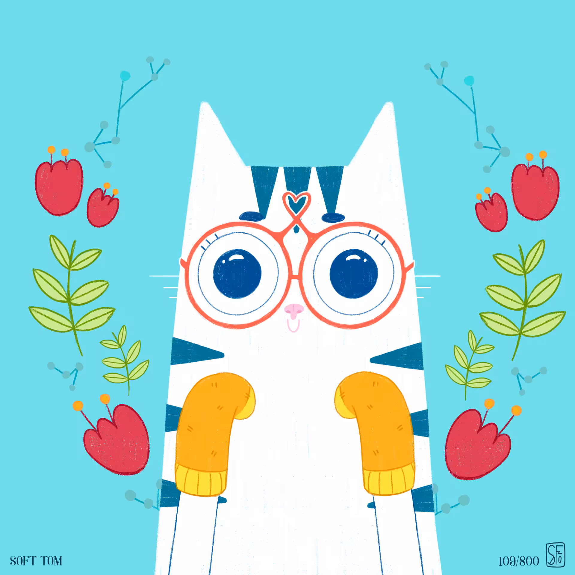 SOFT TOM