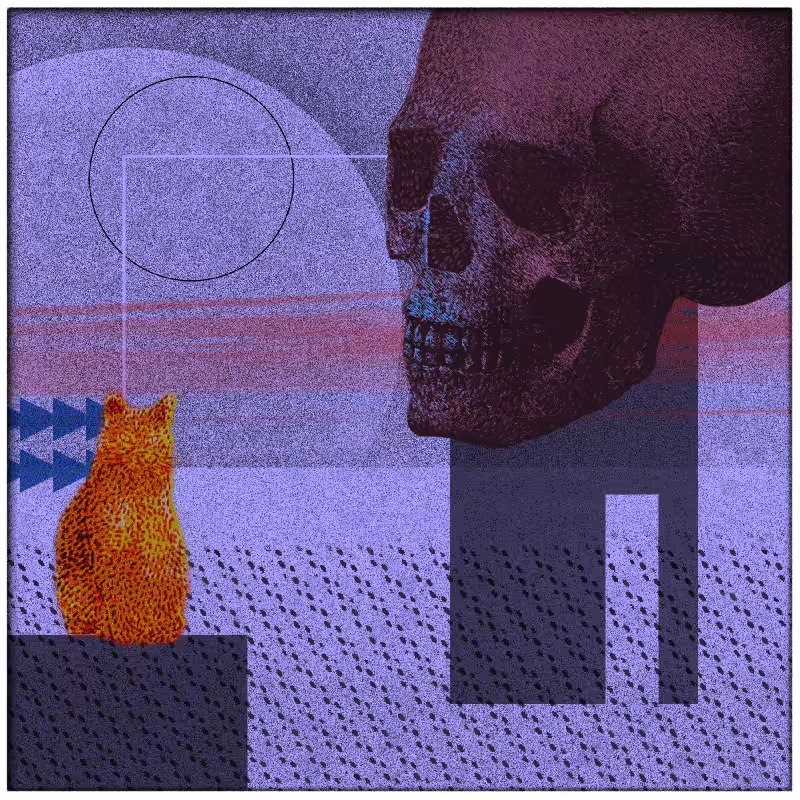 Salem #51