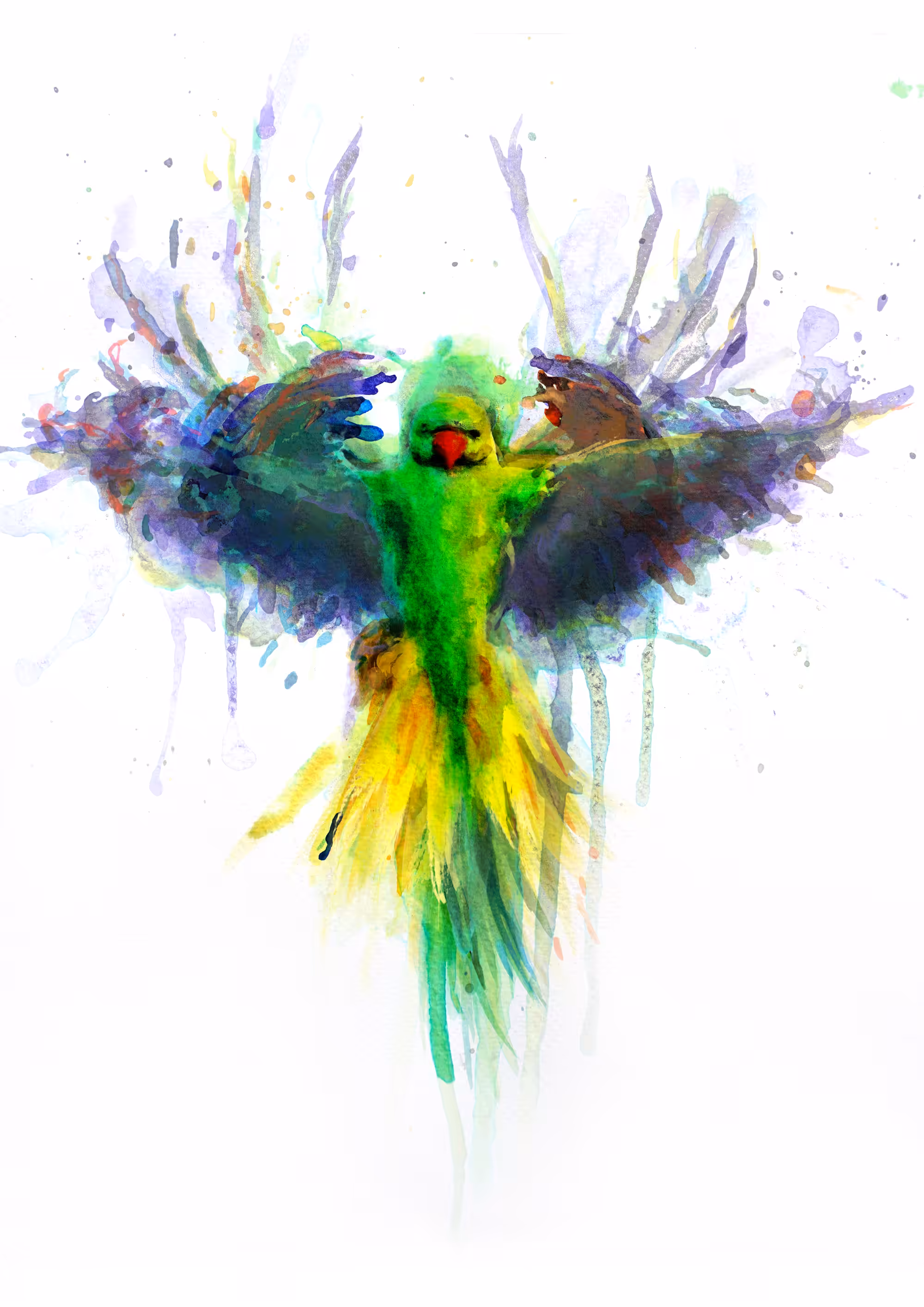 Ithakas: Parakeet Confrontation