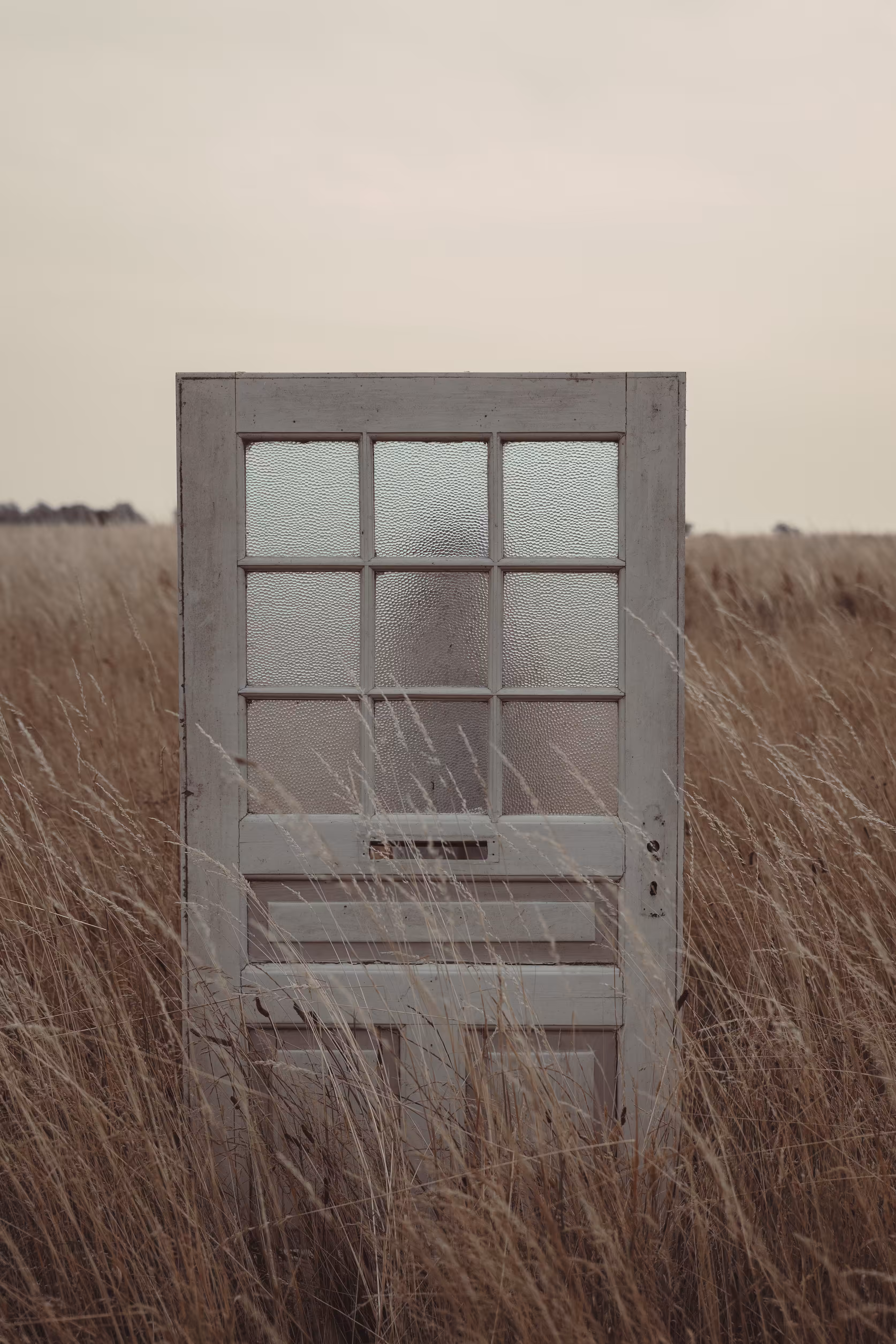 through dream doors