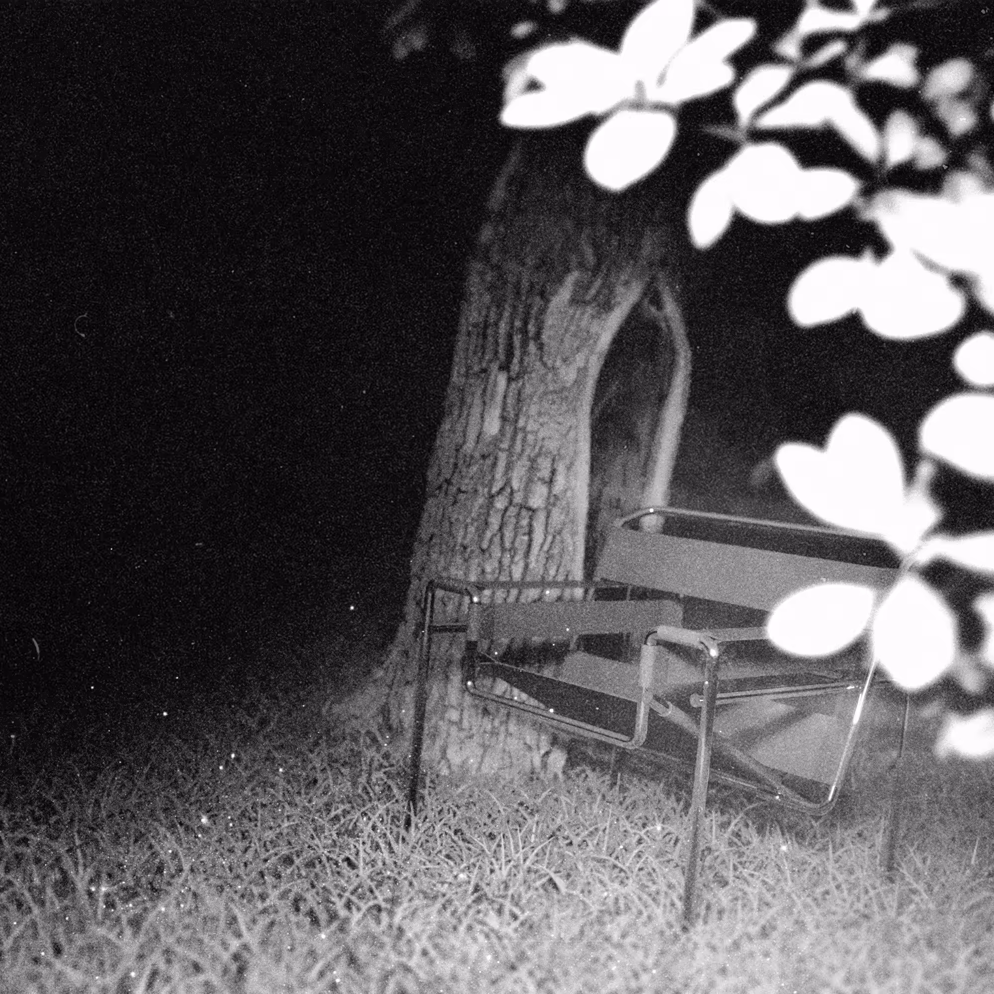 Voyeur #1