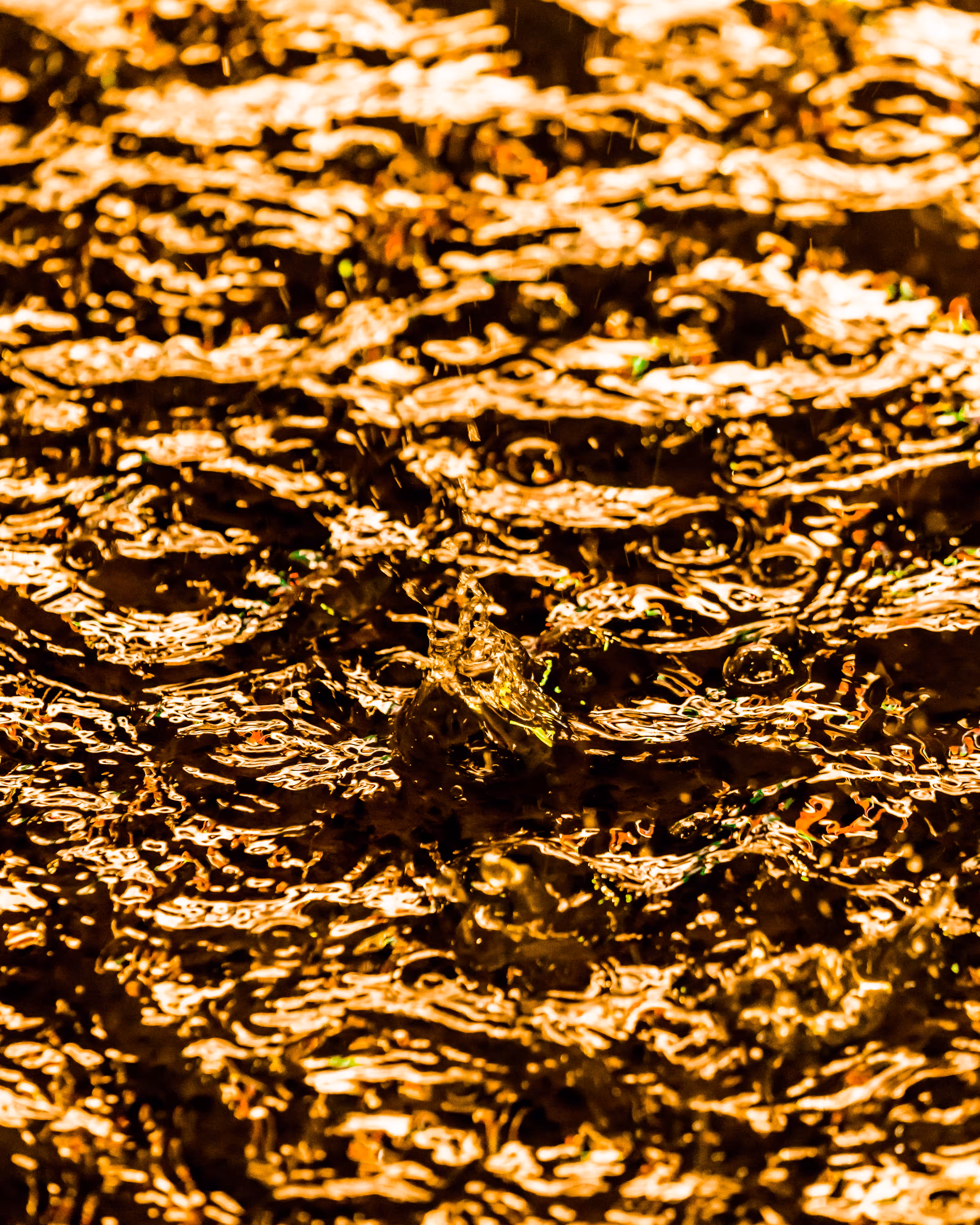 DRIP DROP: DRIP #561