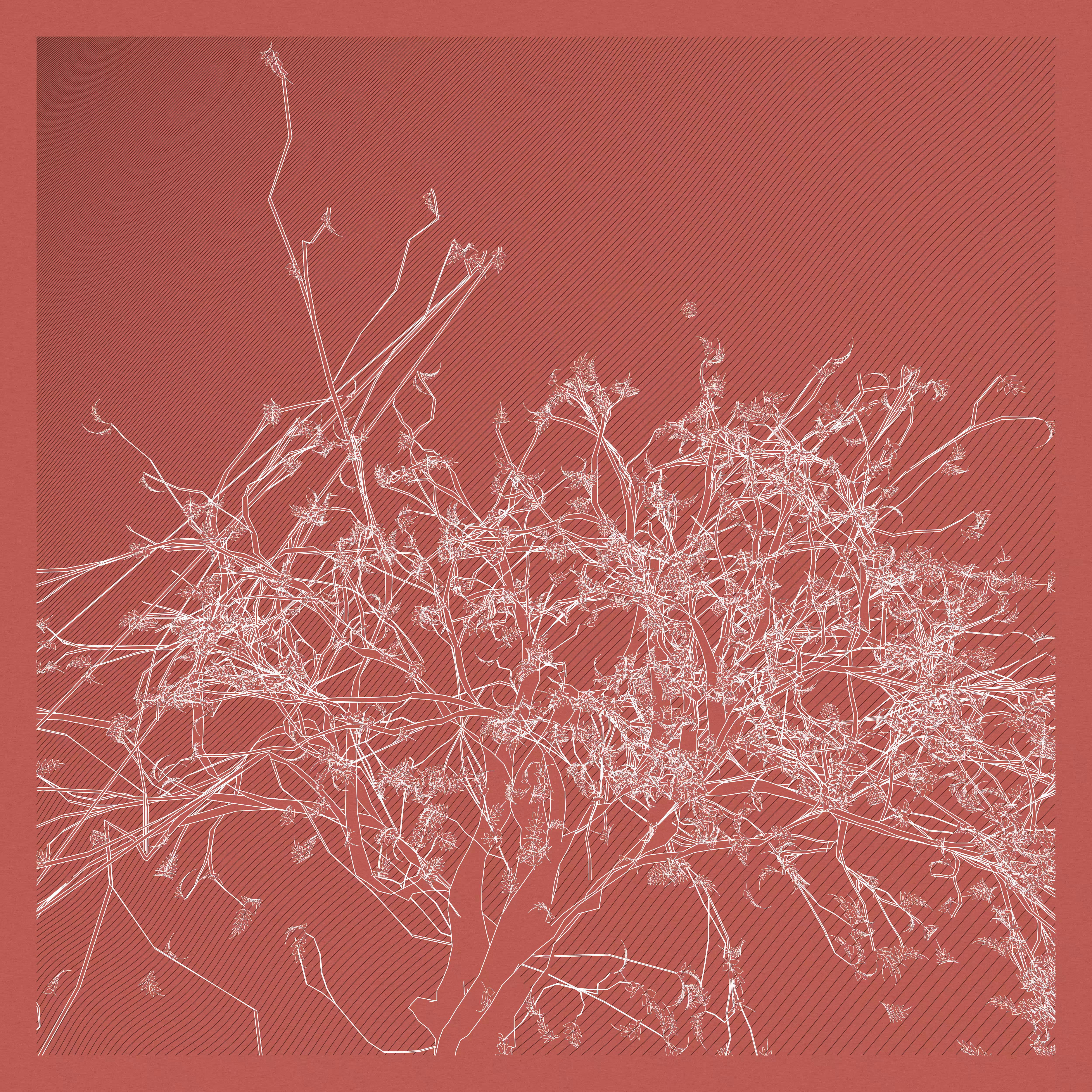 A Bugged Forest #944