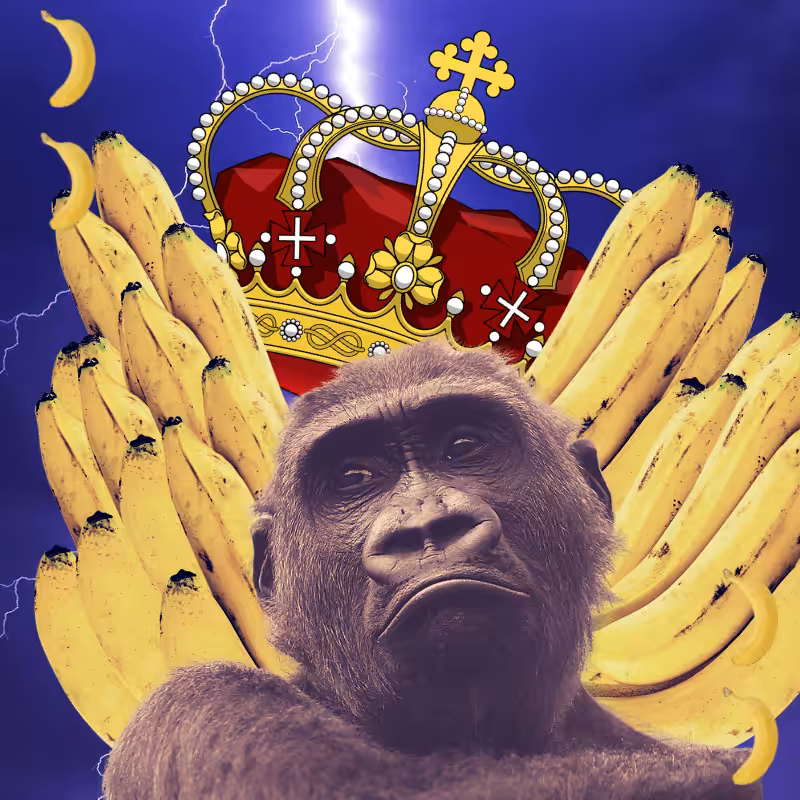Banana gods #55