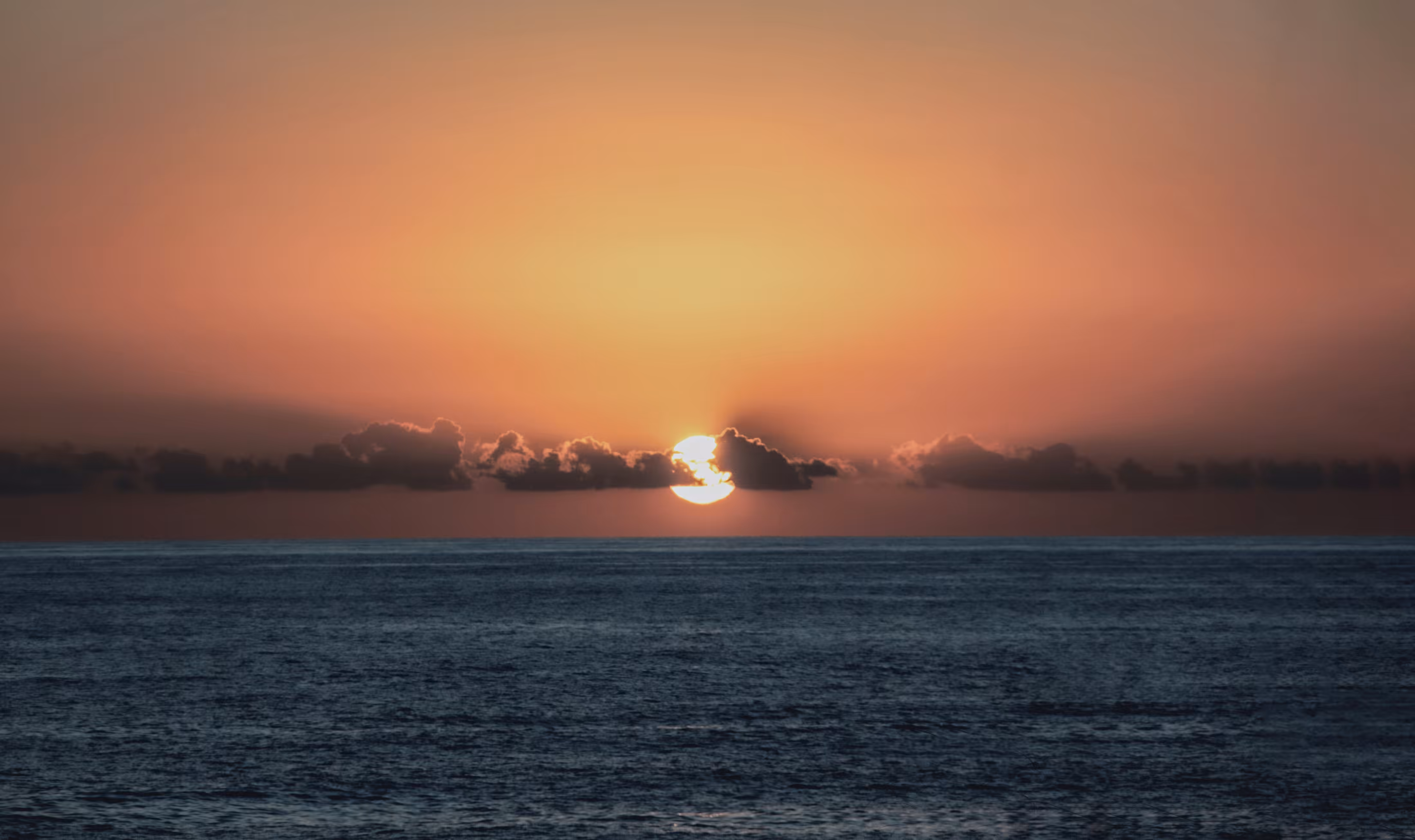 The Sun & Sea 002