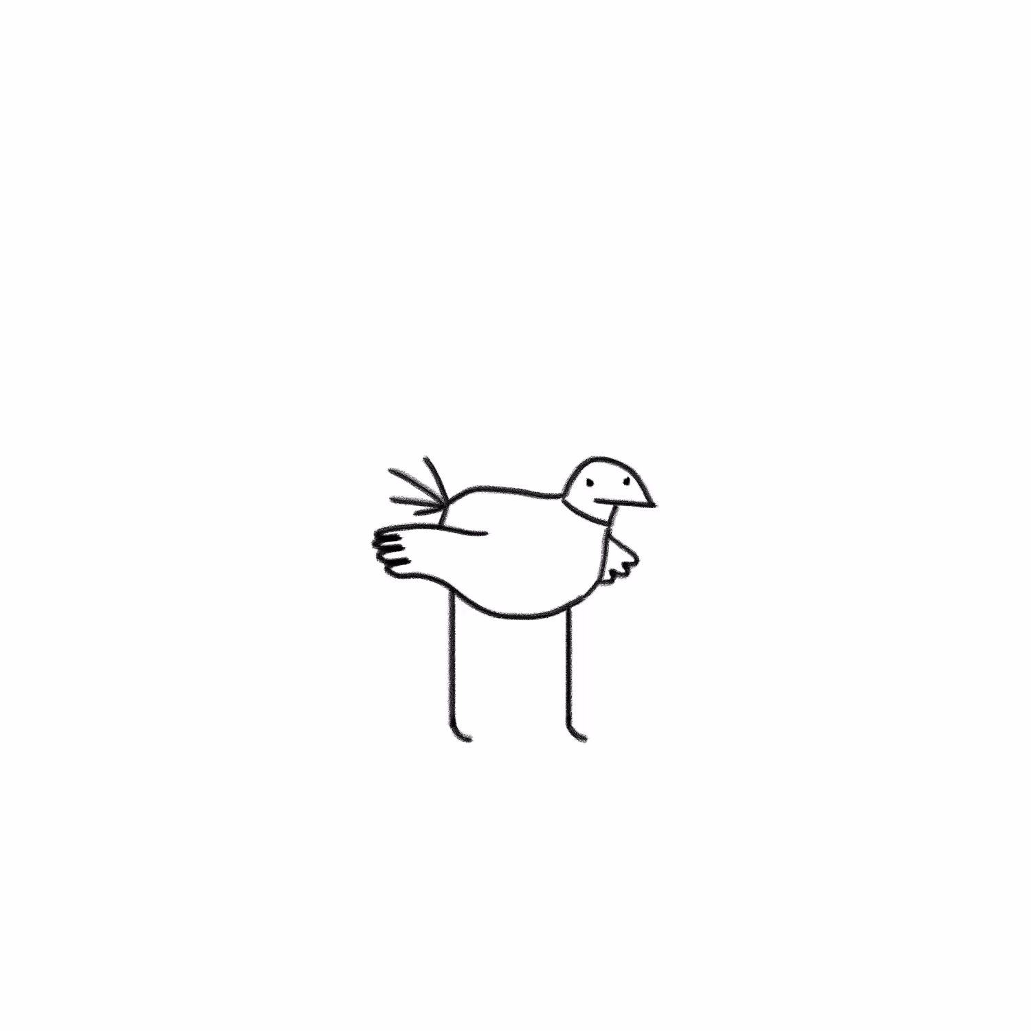 Bird & lov