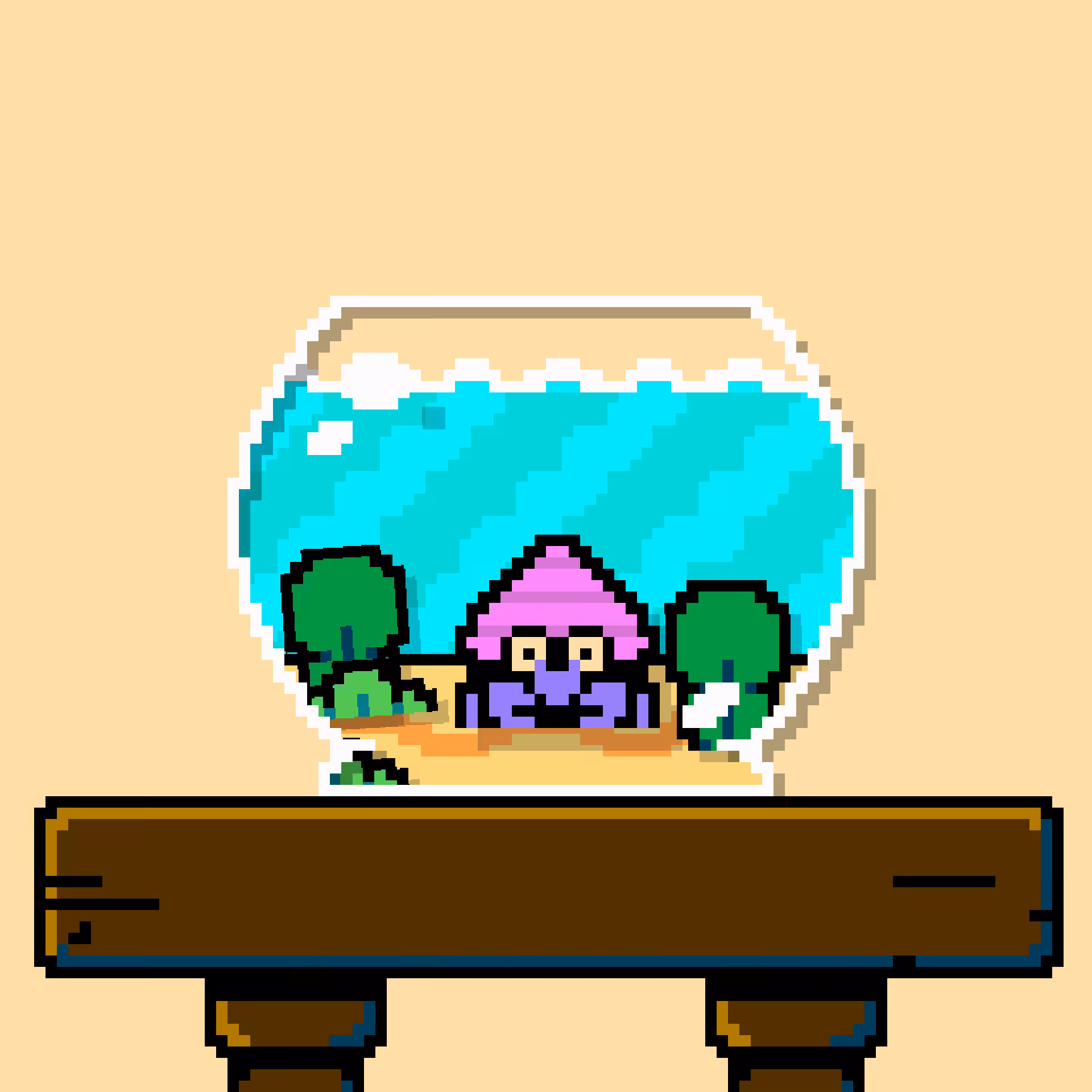 hermit crab #135