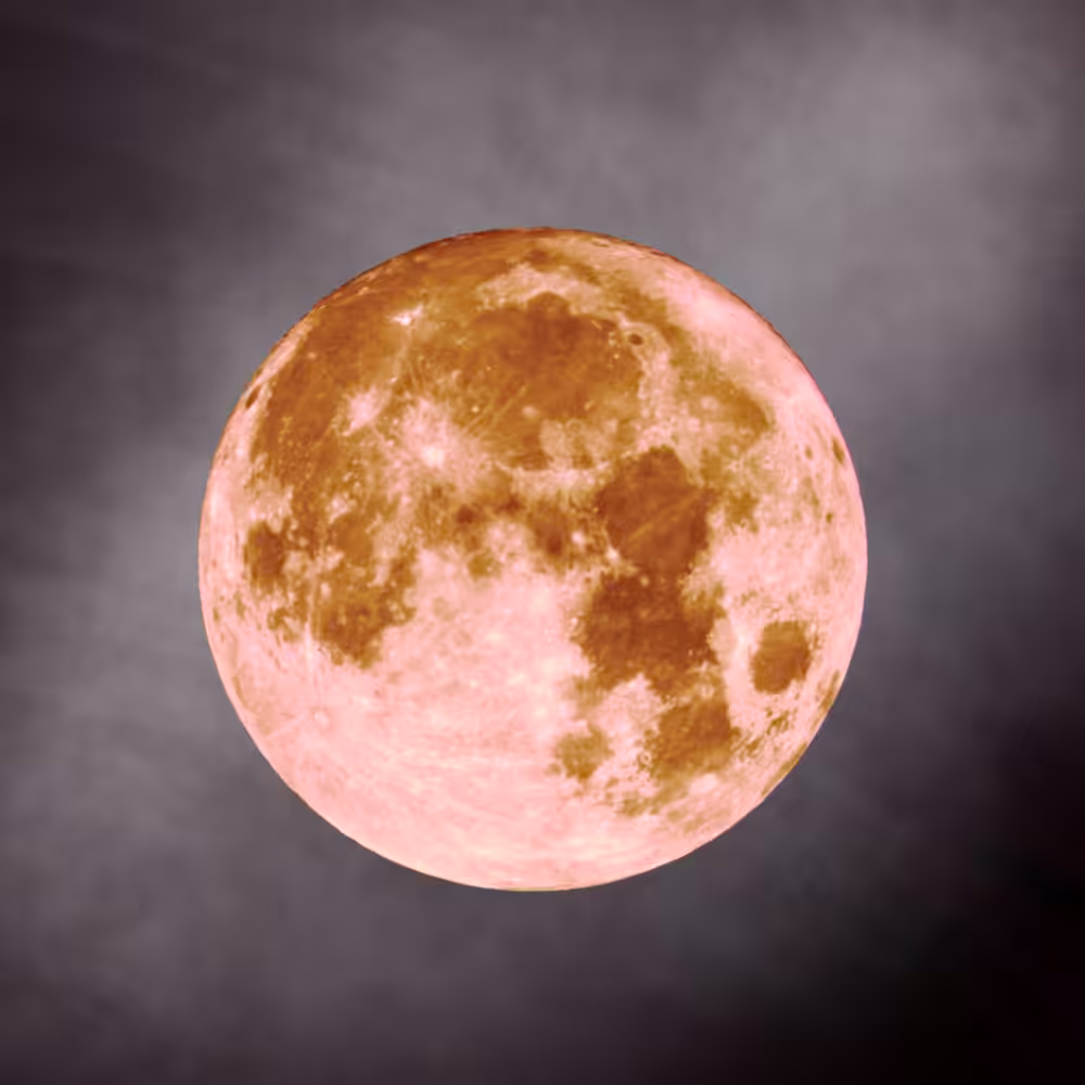 -<Beta Moons>- #14
