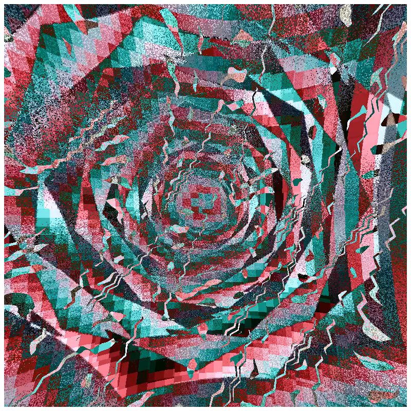 rosette #170
