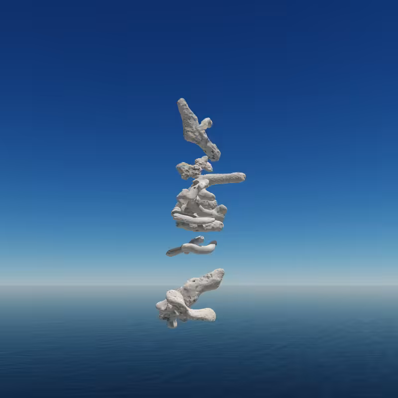 Bone Work (Gulf of Mexico) 2022 #83