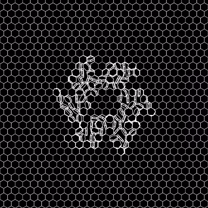 DoodleDeProgramming_20211201