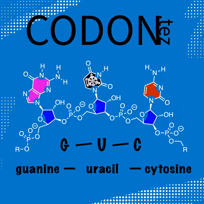 Codon Minter #7