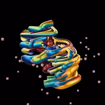 struct 0