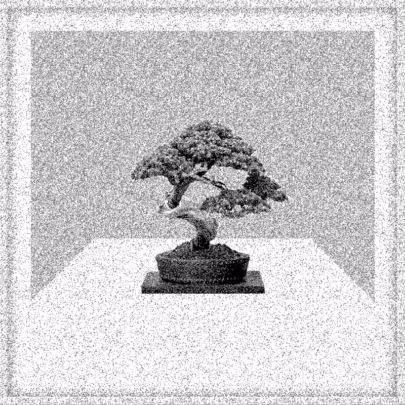 Bonsai Bonanza #616
