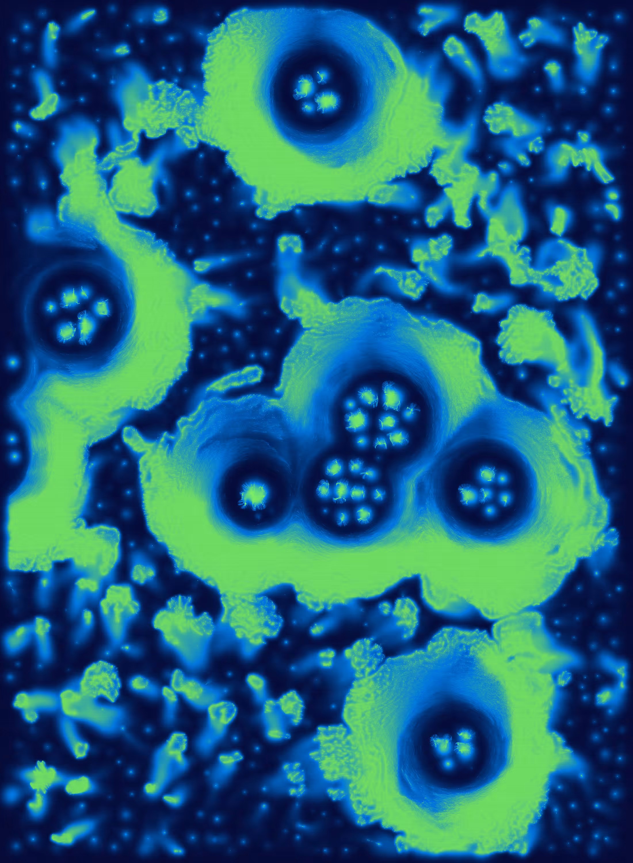 Holons #493