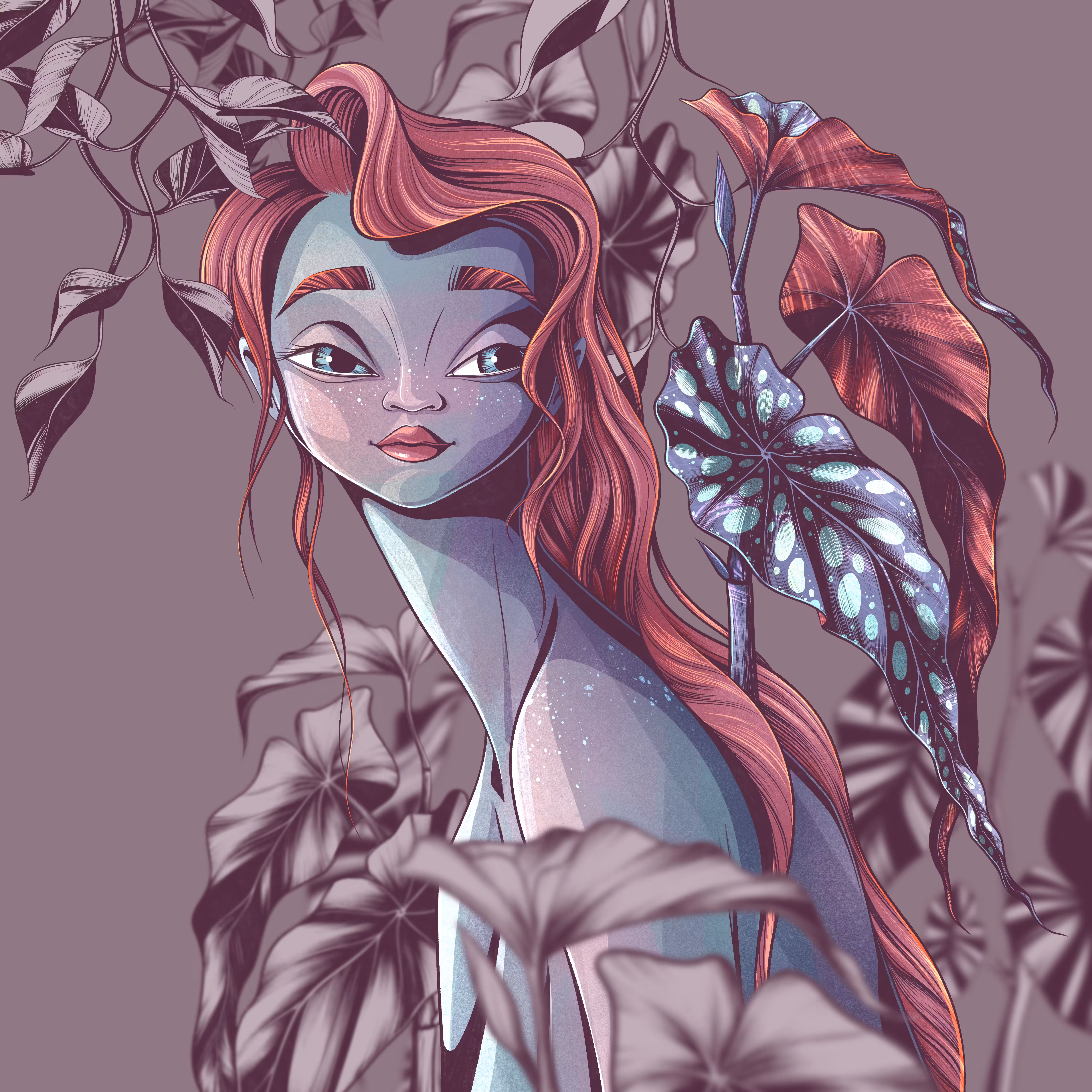 Maculata