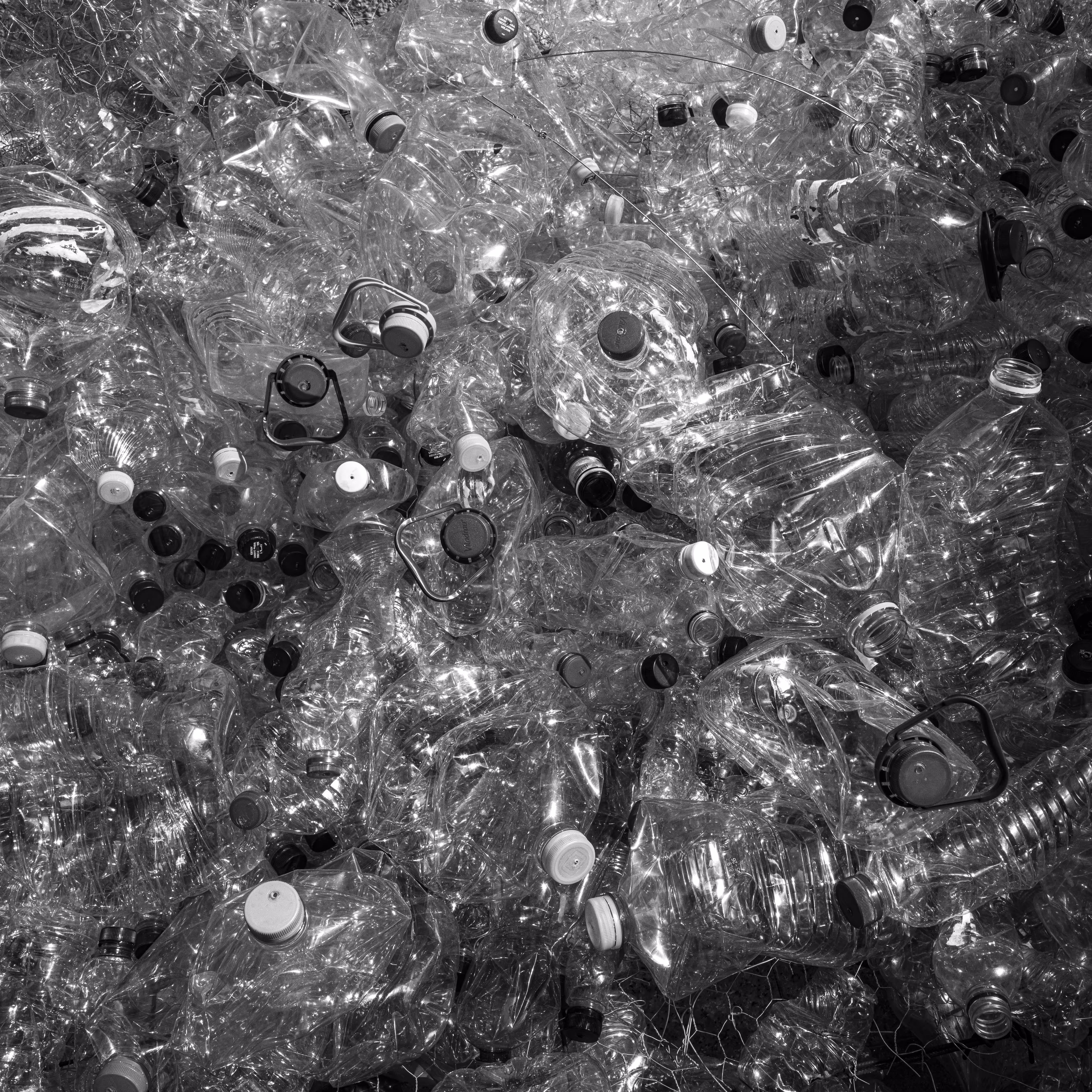CACHIVACHES (monochrome): CACHIVACHES #28