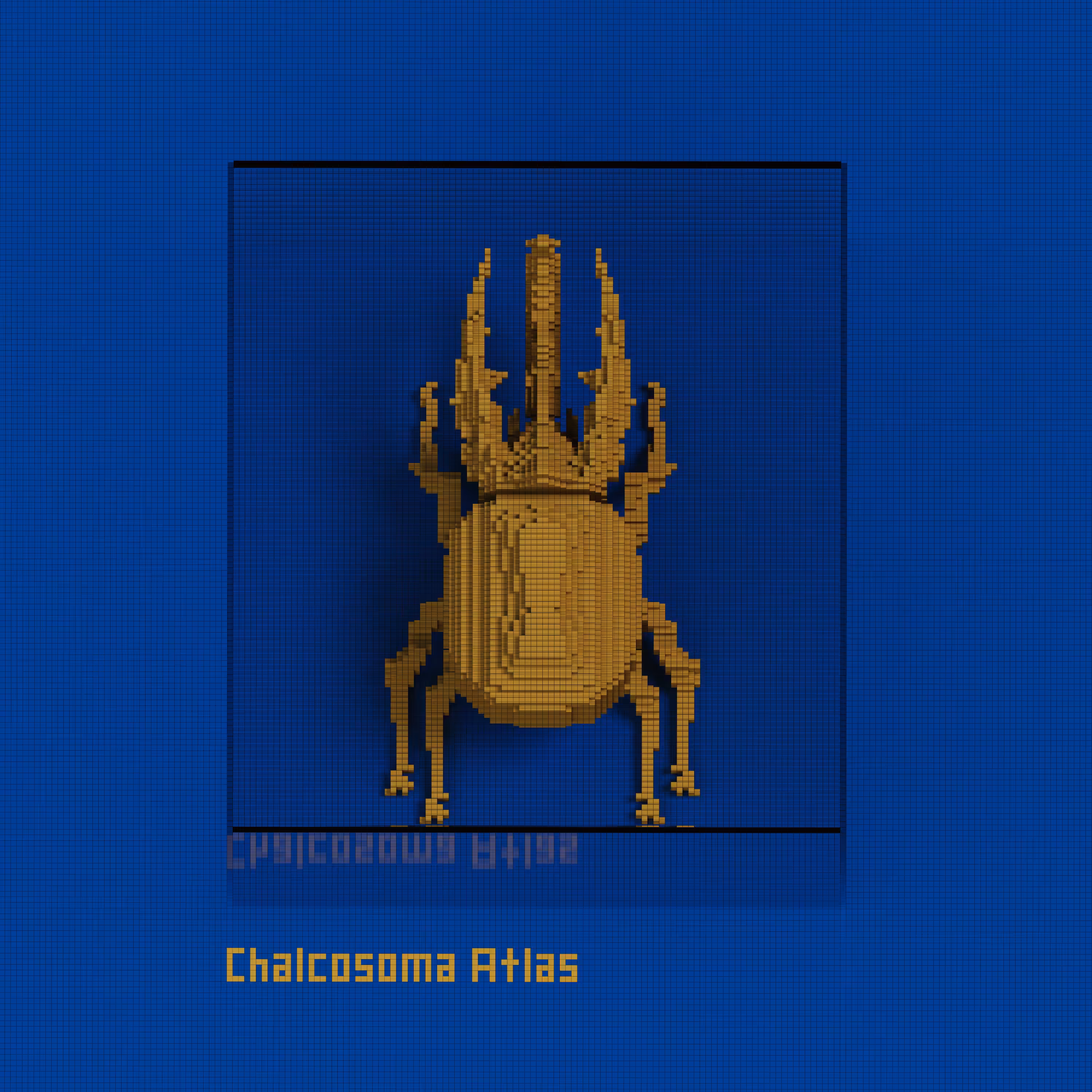 KINΞNTOMOLOGY 01 CHALCOSOMA ATLAS