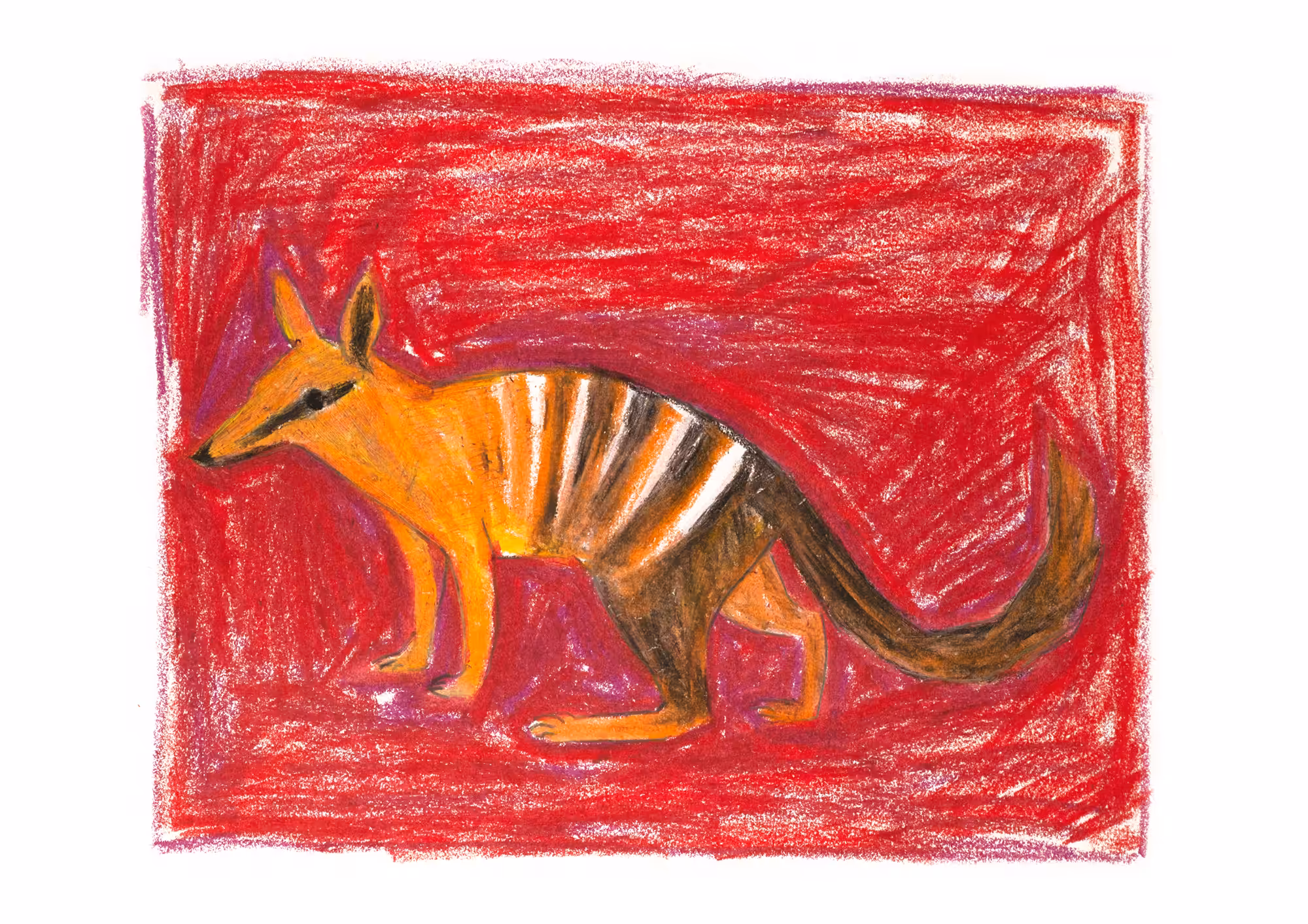 Numbat of NiftyMiki