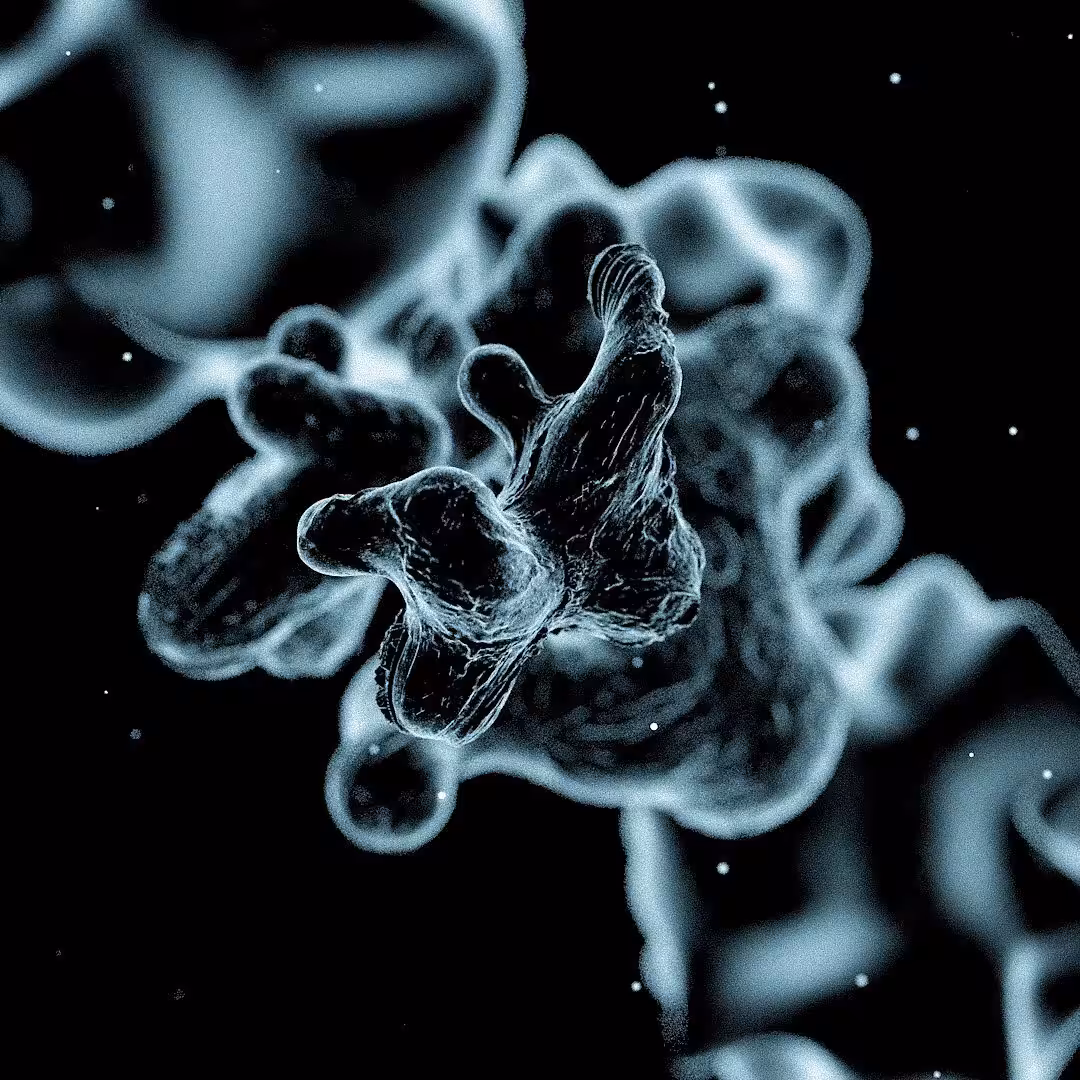 Microscopic
