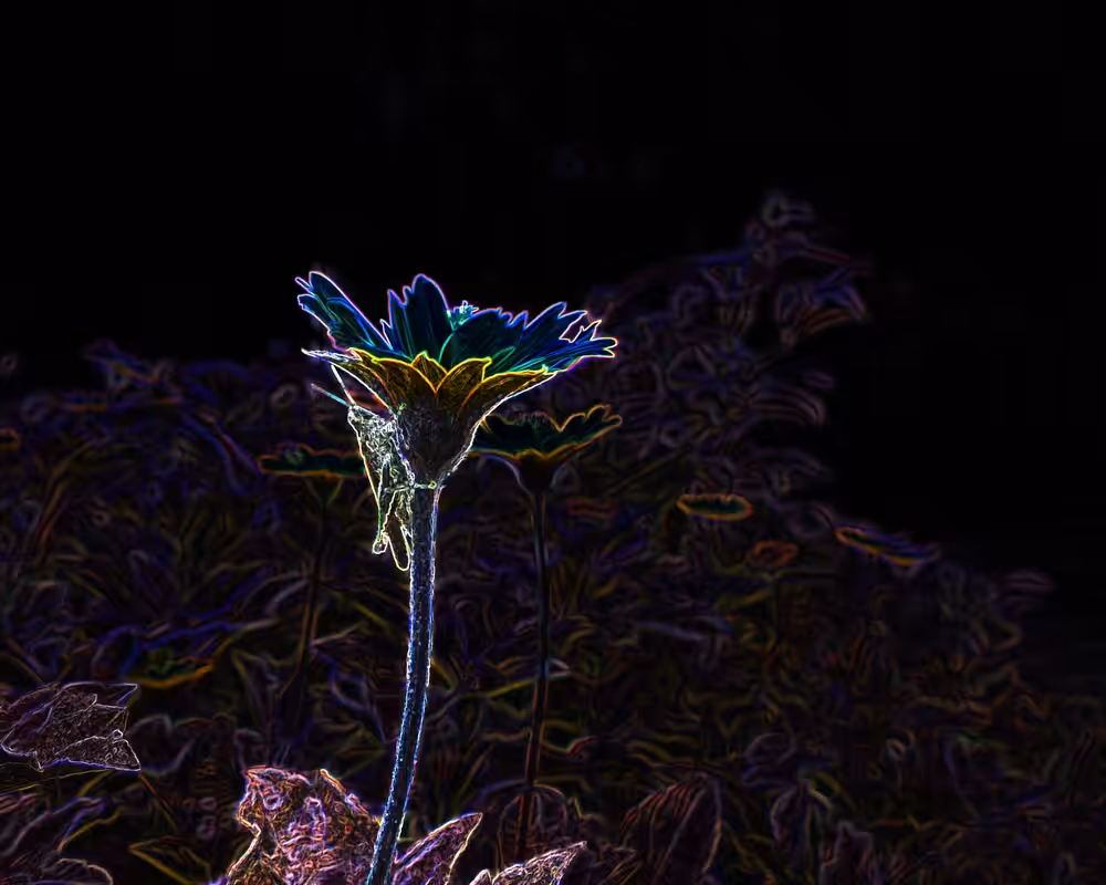 The flower and the cricket