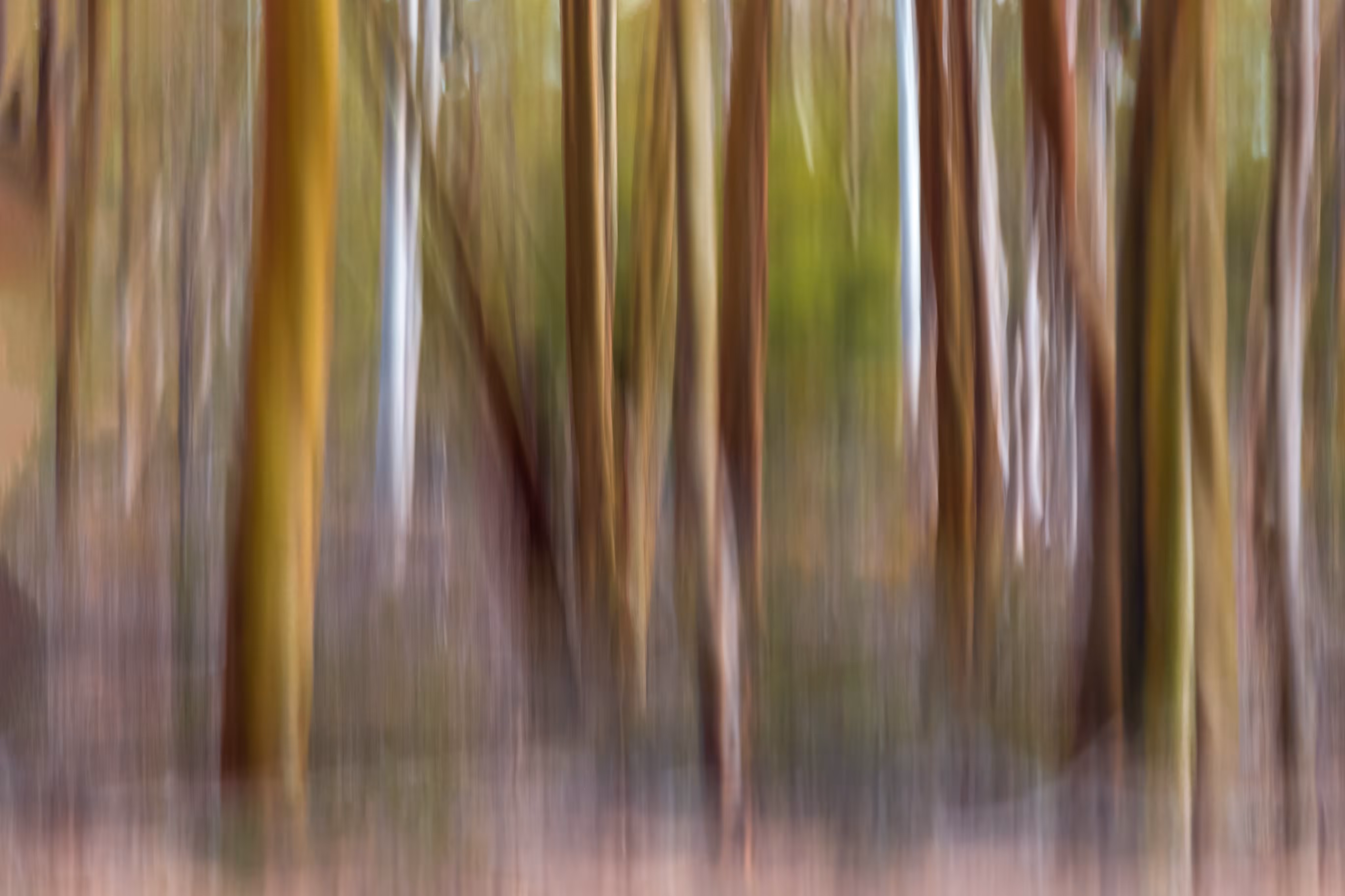 visionandlight icm