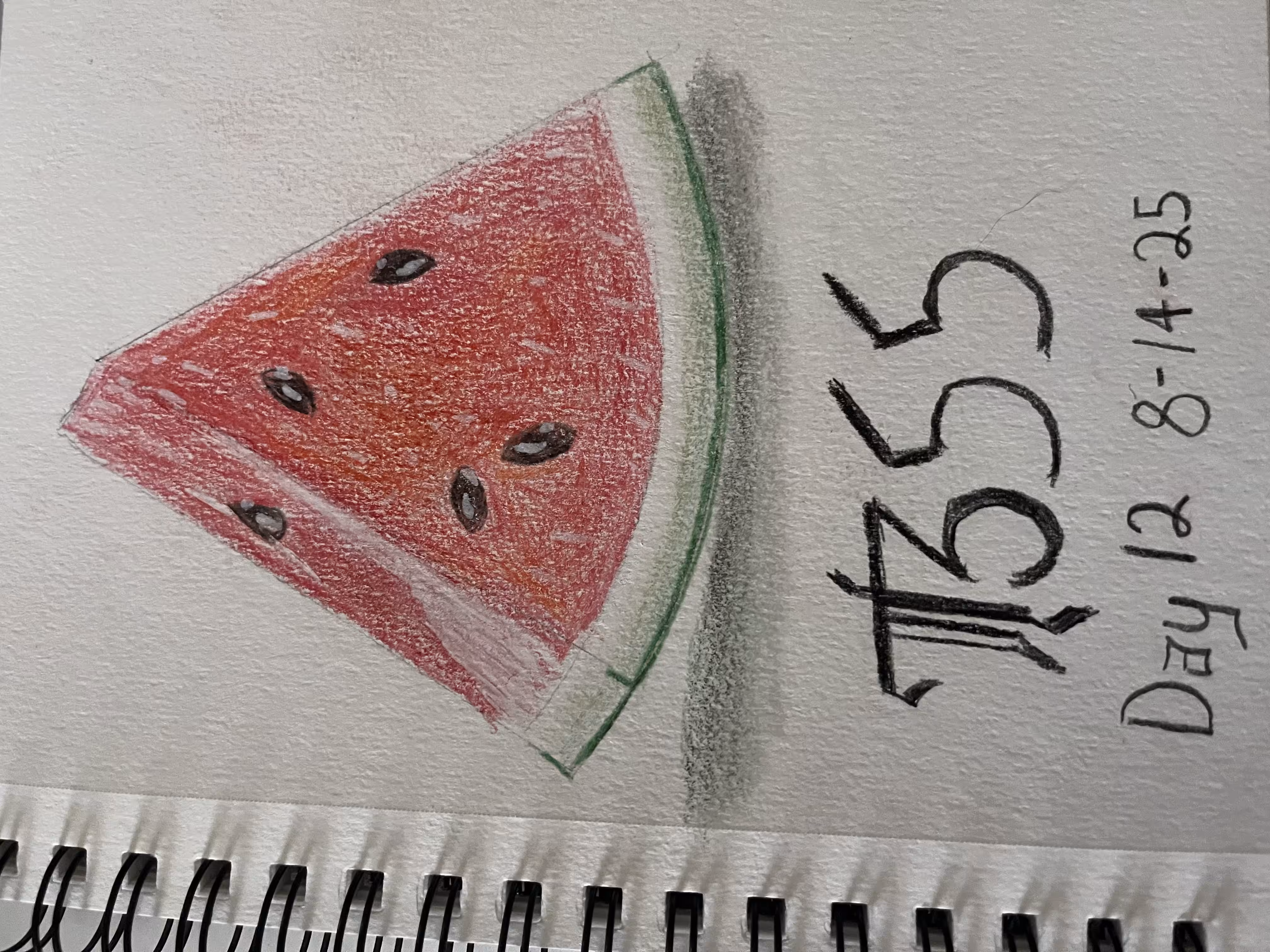 Aug 14 Day 12