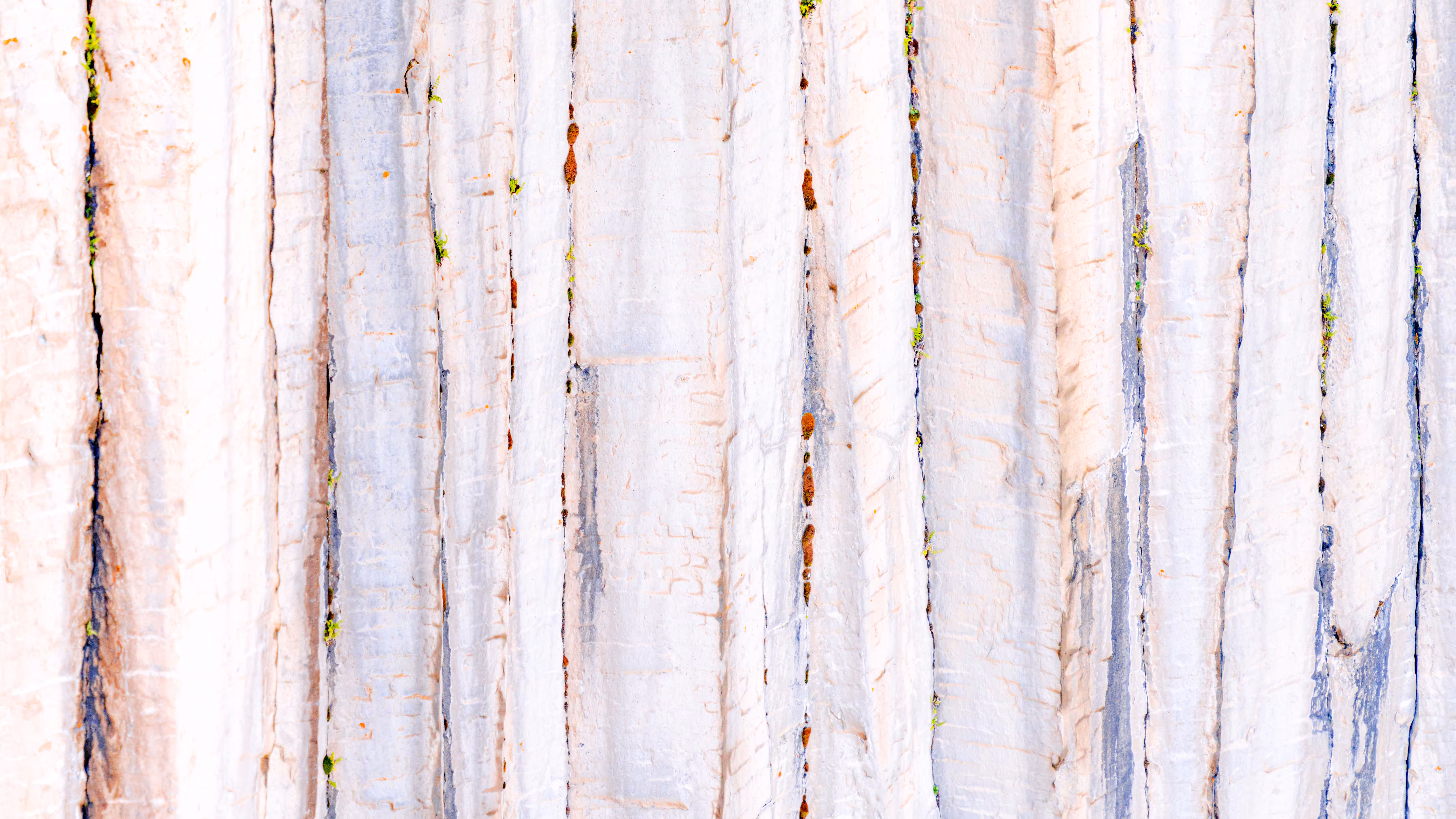 Abstract #6 North Pole