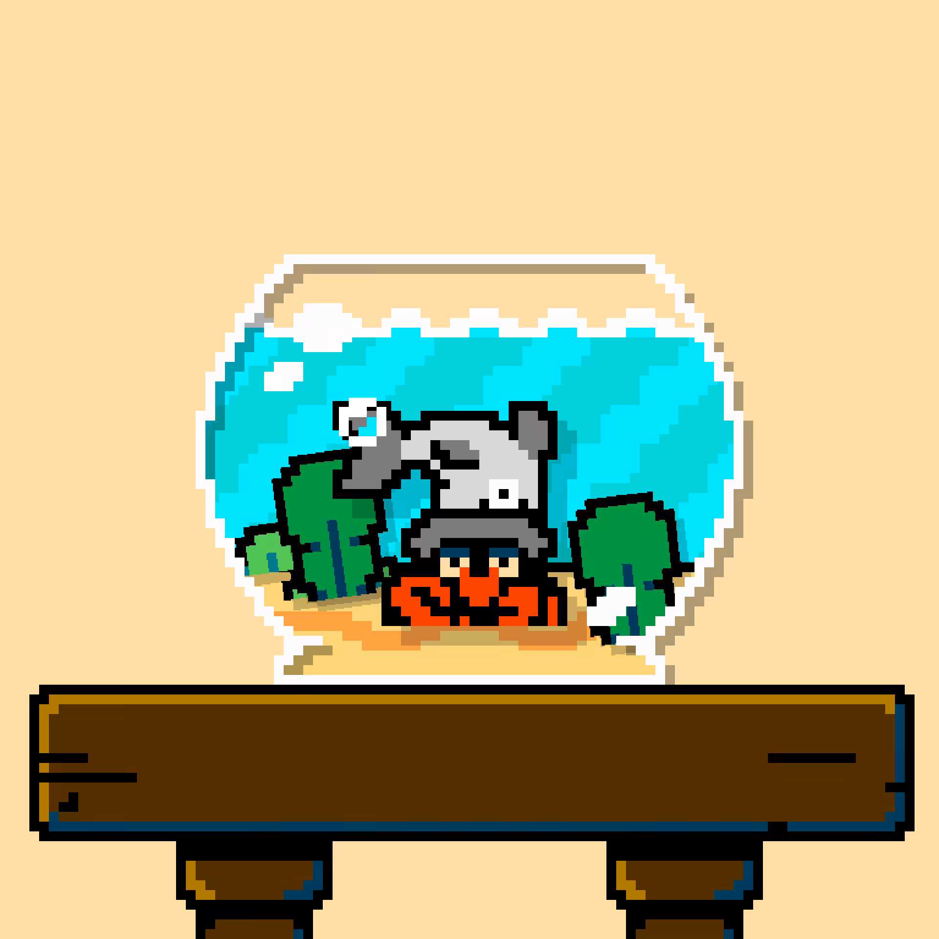 hermit crab #39