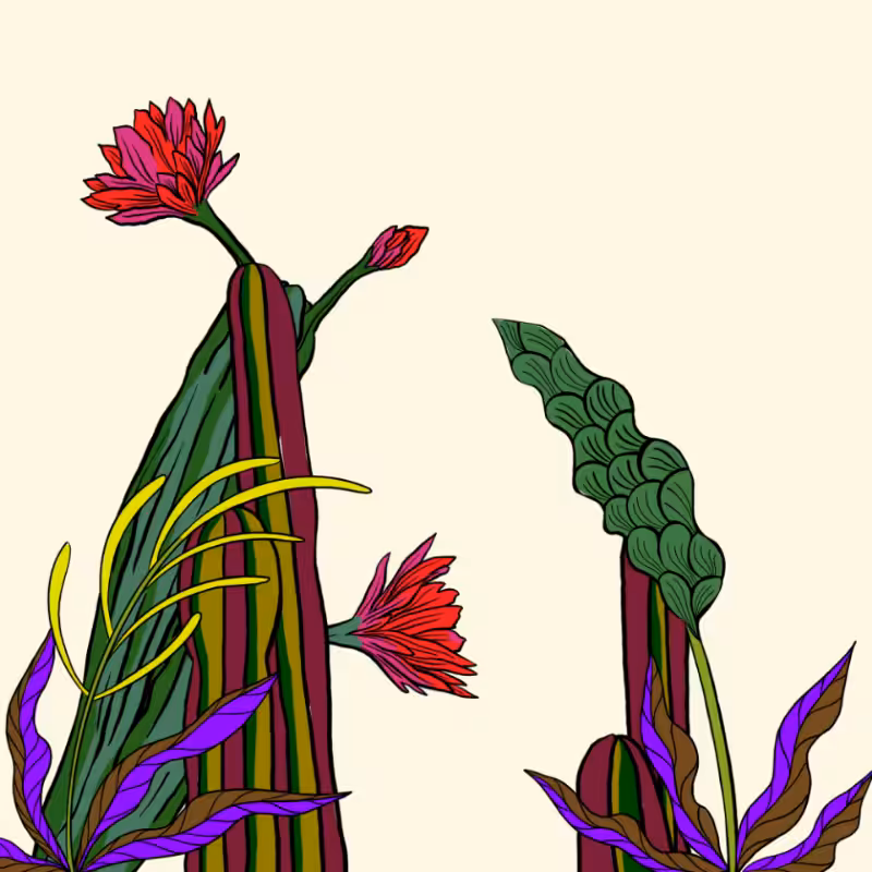 Desert Exuberance #2