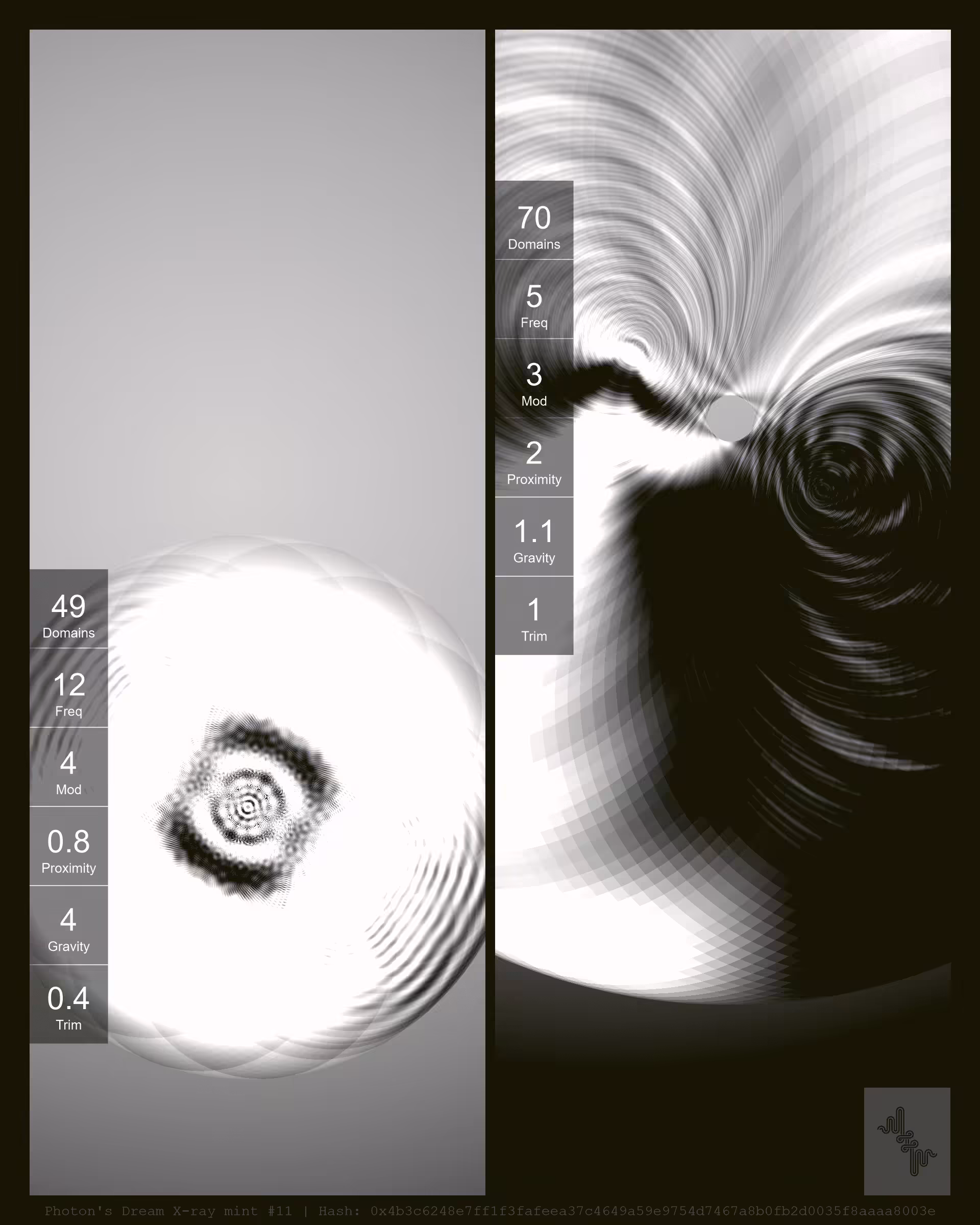 Photon's Dream X-ray mint#11