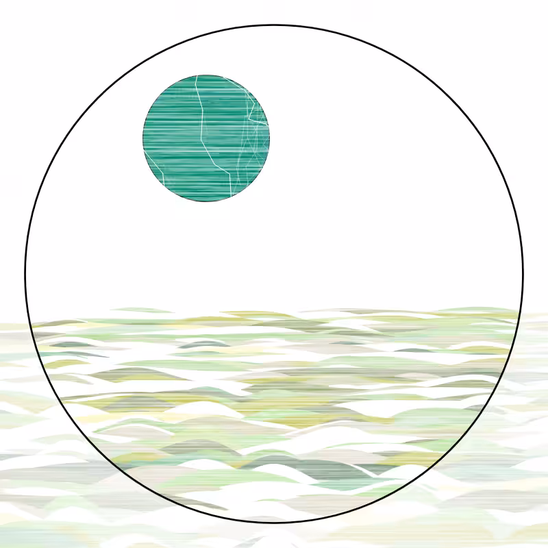 Balance #216