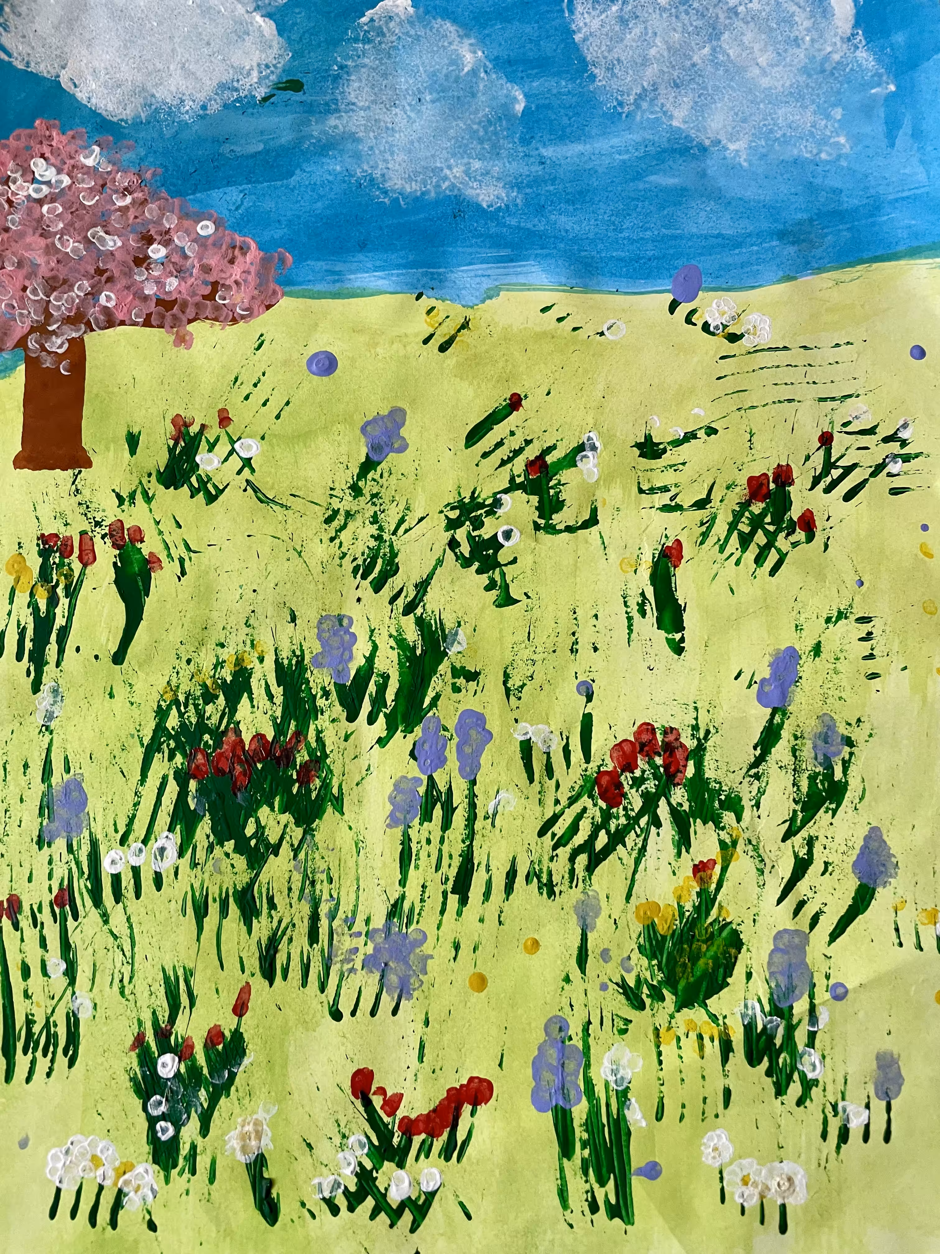 Blumenwiese im Frühling 