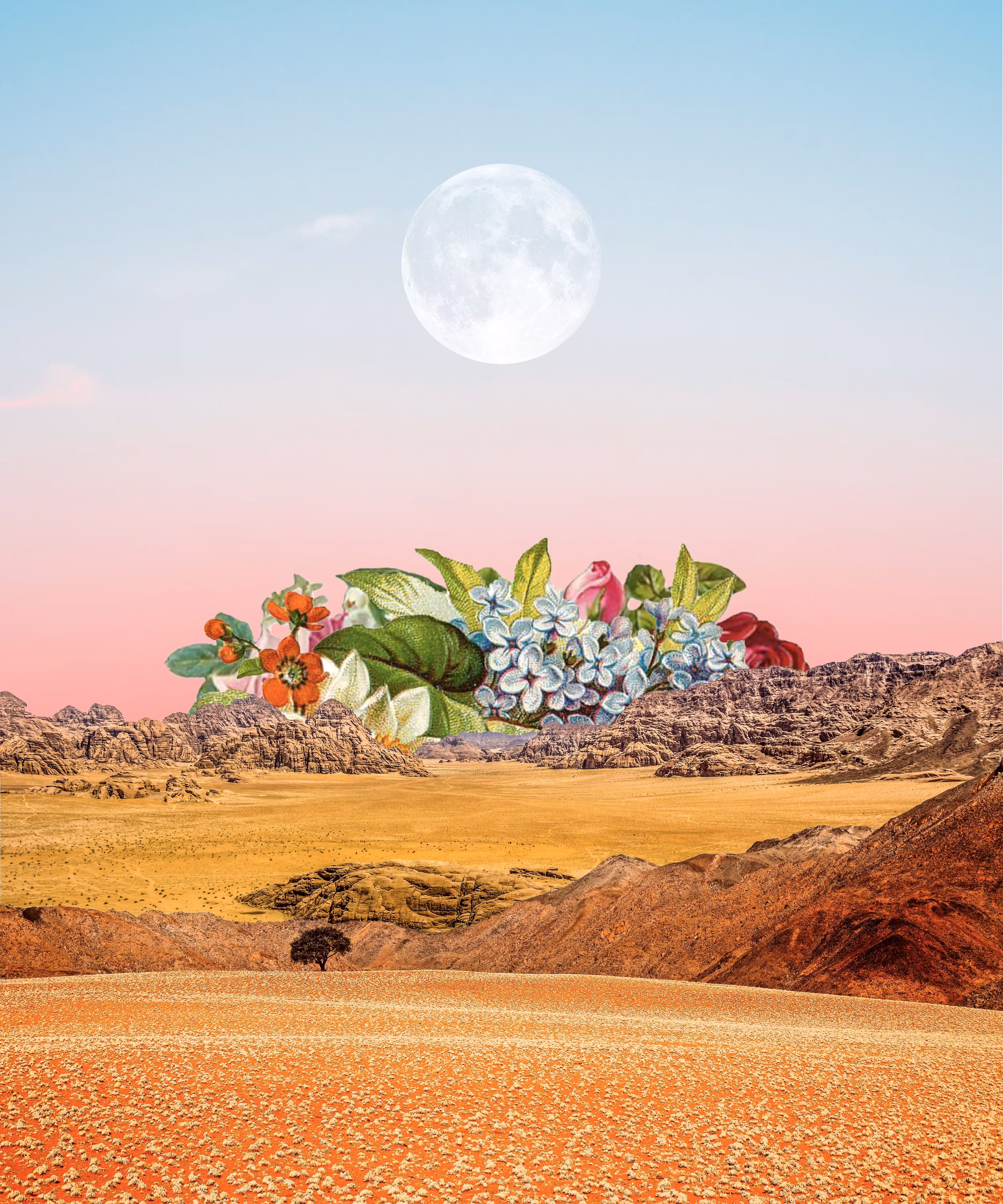 Flora and Fauna, 2019