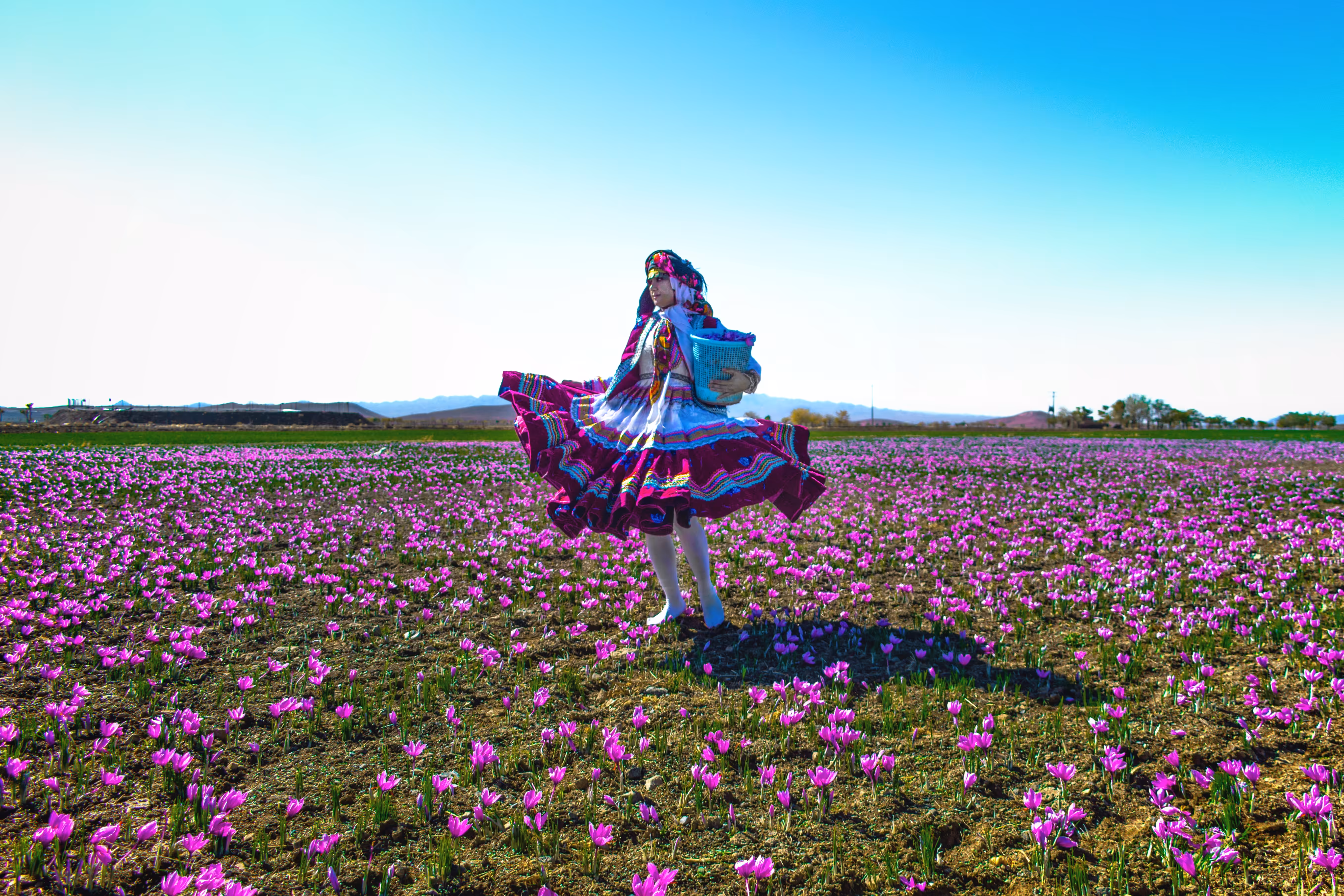 Dancing in the Violet Vastness
