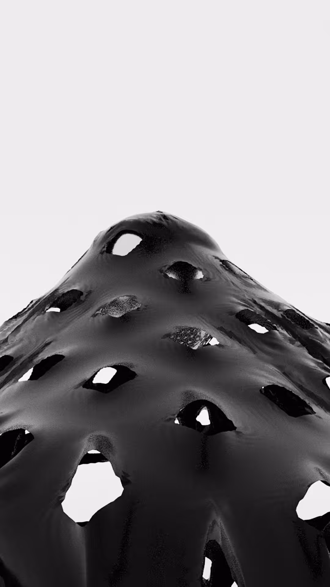 FORM