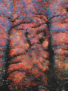 Season of the Witch — Conflagration