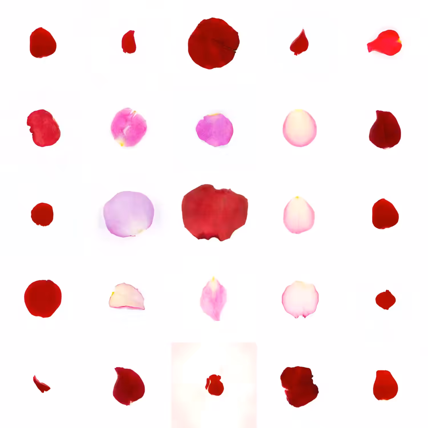 Infinite Petals 5x5#20712