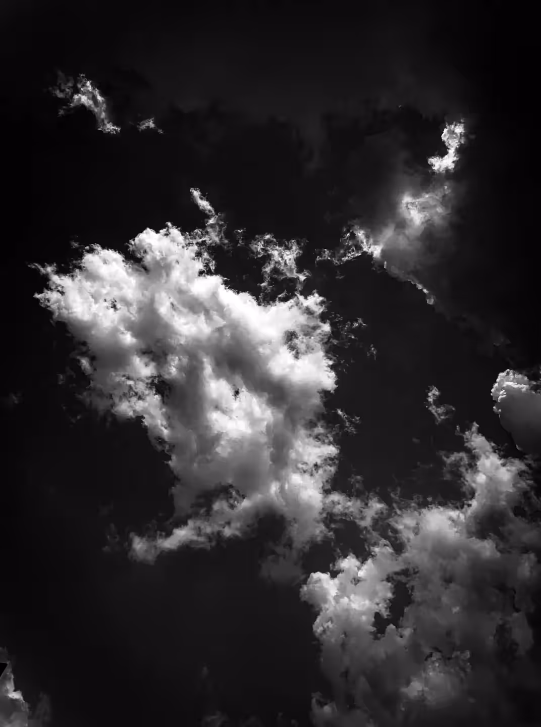 Say Yes To Heaven