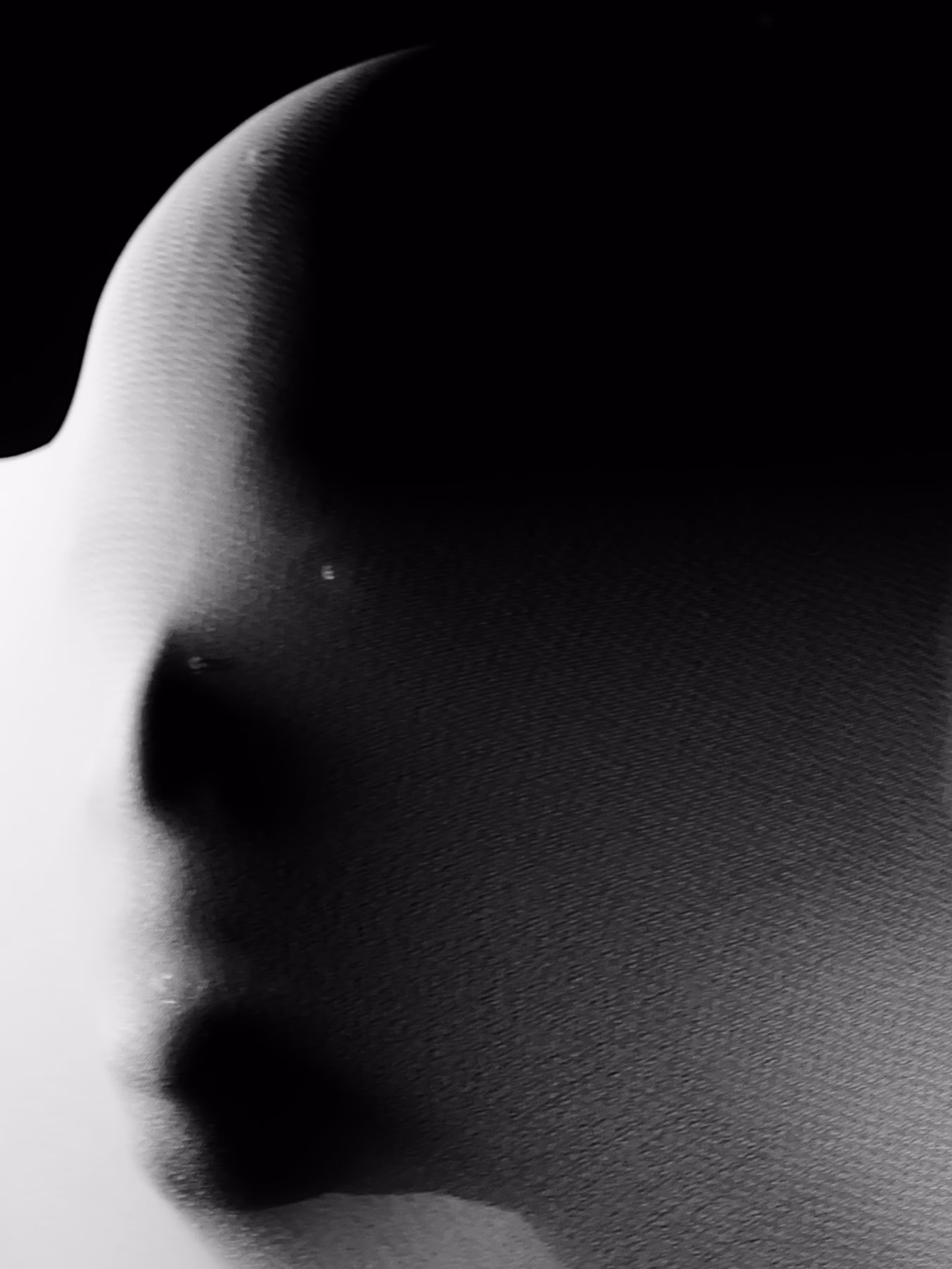 Rupa Cipta (Form of Creation)