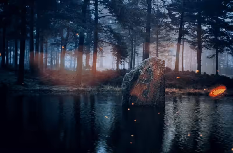 The Enchanted Forest