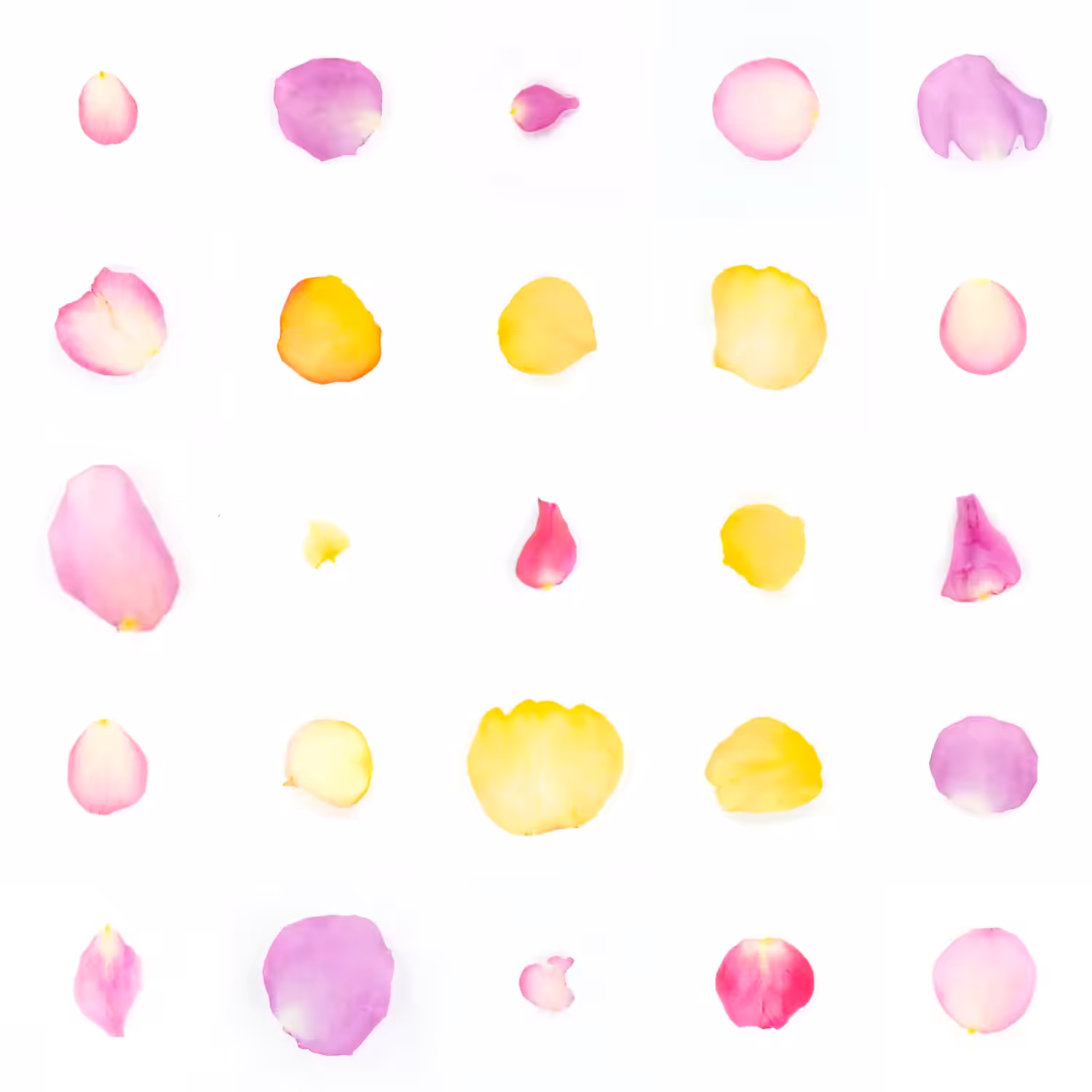 Infinite Petals 5x5#20171