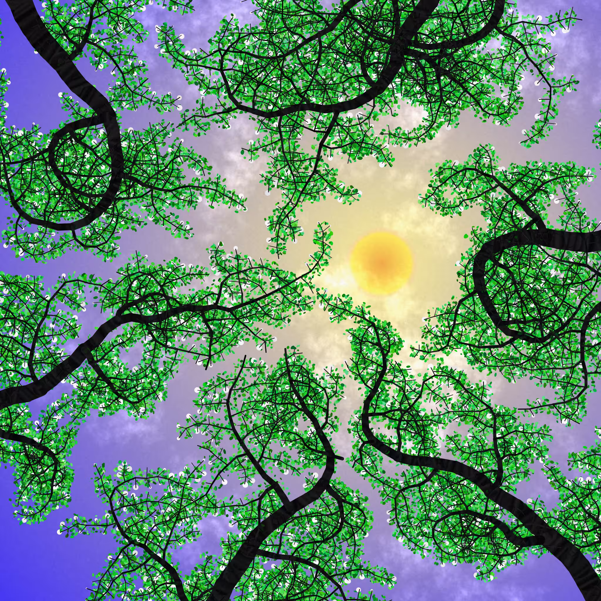 Tree Skyness #39