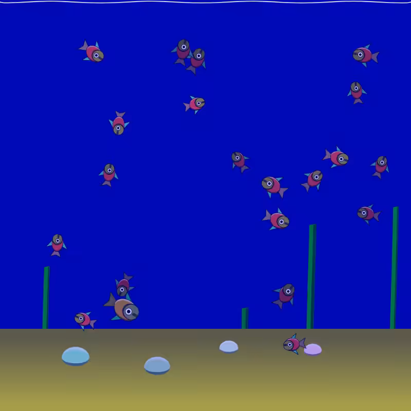 Underwater Schooling #11